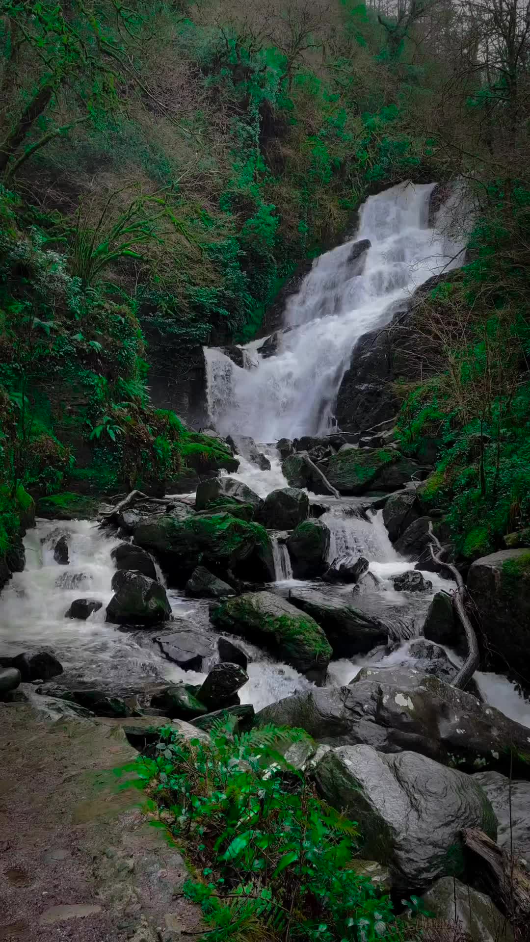 Discover the Mystical Torc Waterfall in Ireland