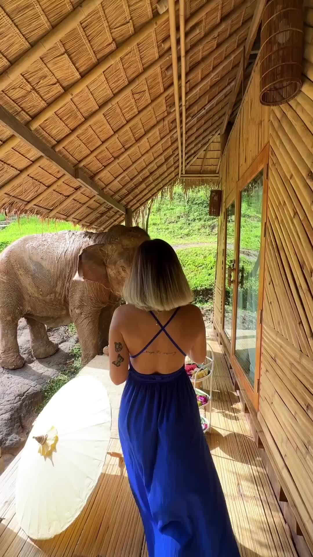 Breakfast with Elephants at Chai Lai Orchid, Thailand