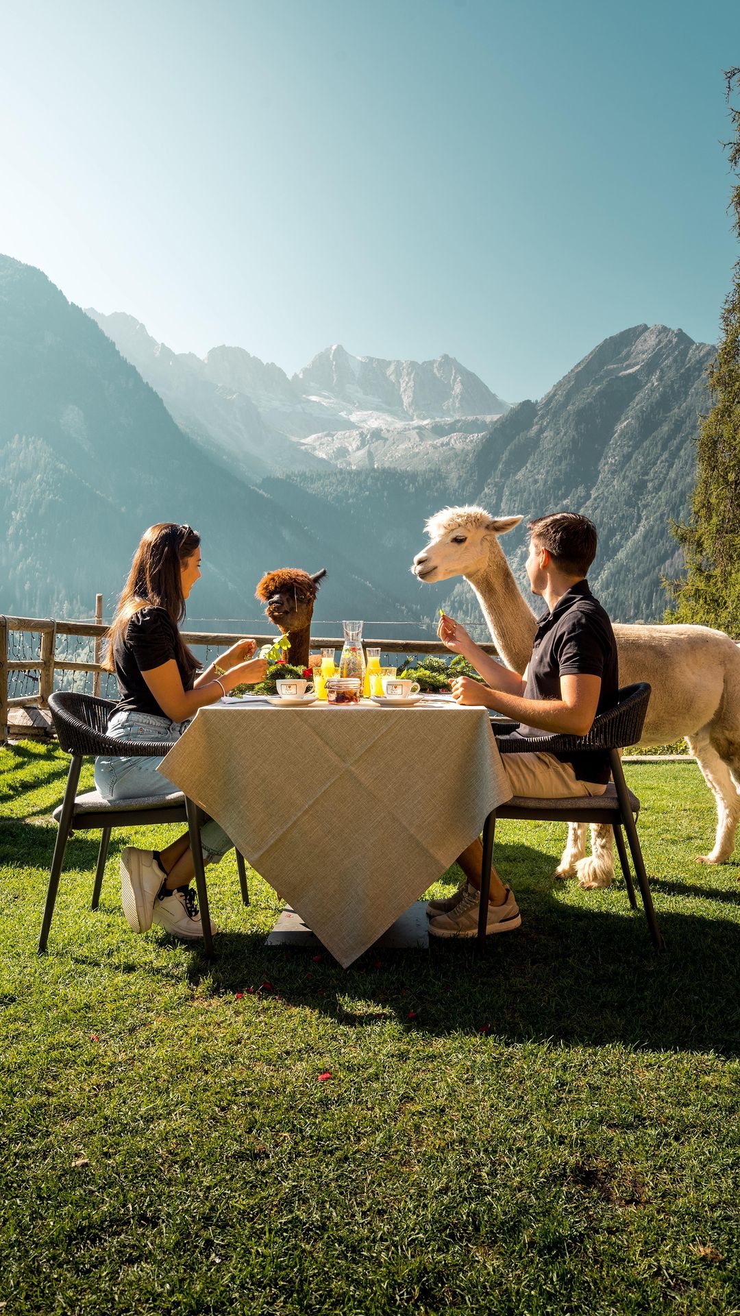 Breakfast goals!! 🦙🥐

📍 @chalet_al_foss 

#chaletalfoss #alpaca #lama #breakfast #uniquehotels #hotelsandresorts #beautifulhotels #beautifuldestinations #vistanow