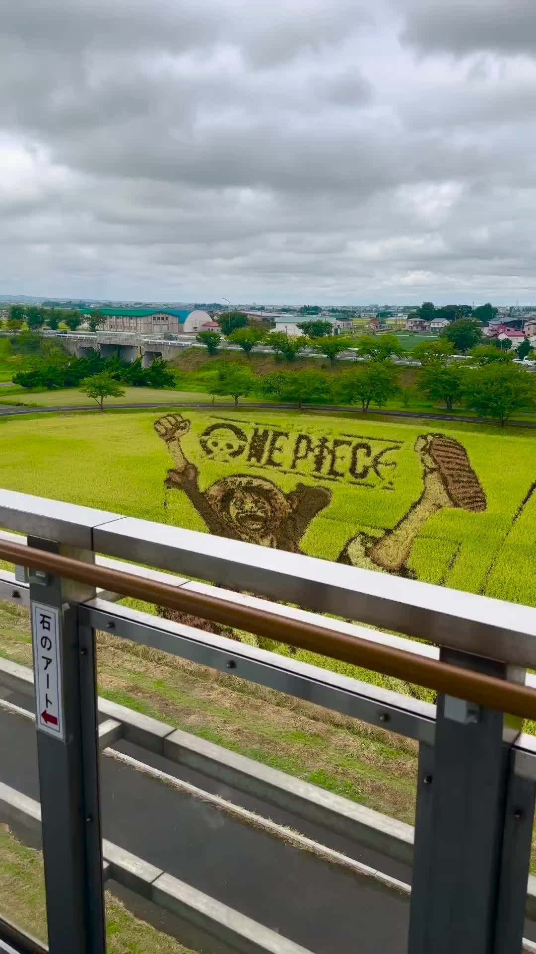 One Piece Rice Field Design in Aomori, Japan