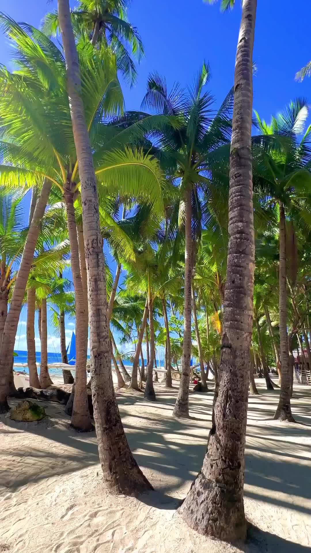 Tranquil Boracay Island Escape - Ultimate Travel Destination