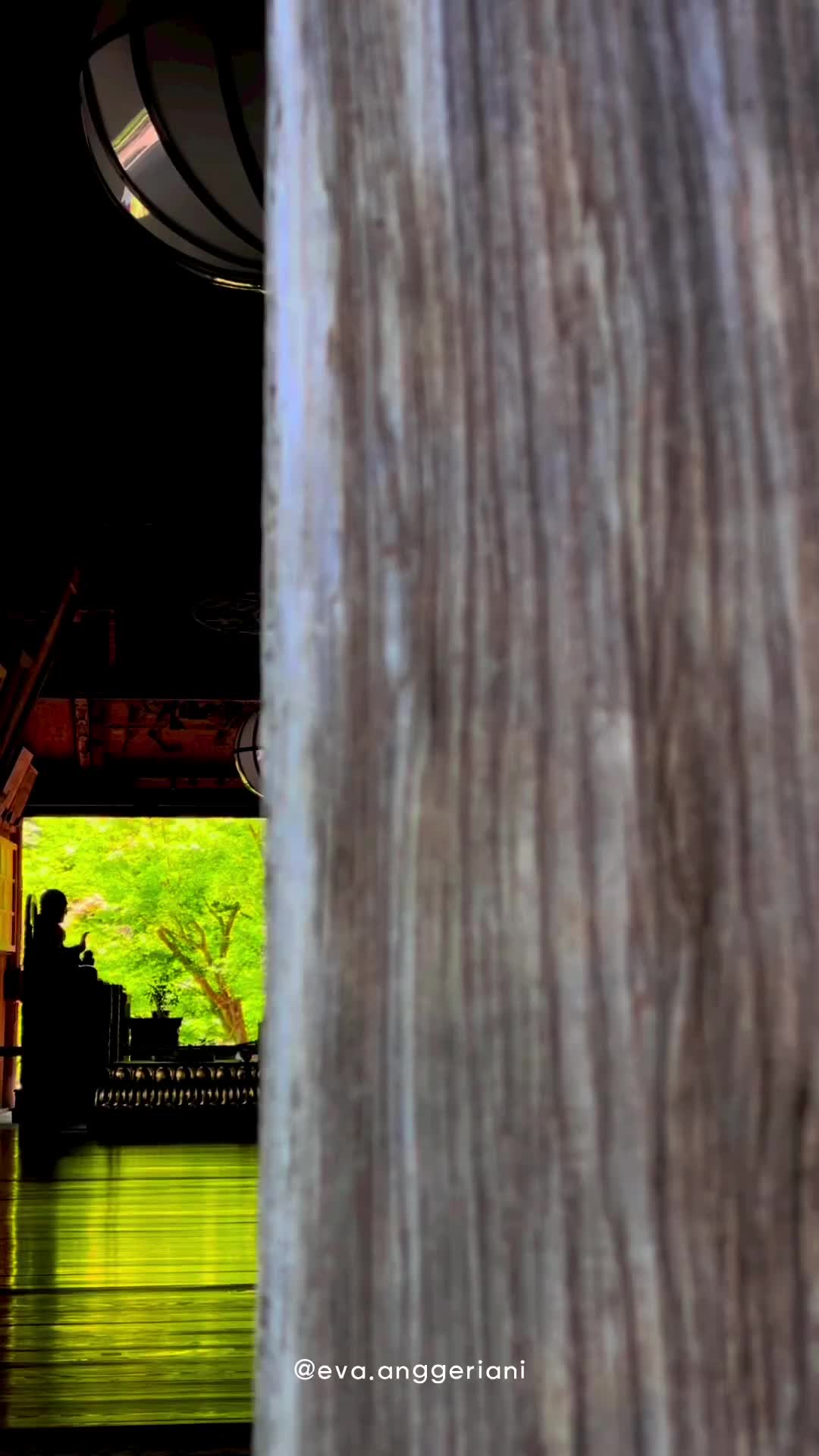 Peaceful Day at Hase-dera Temple, Nara 📍