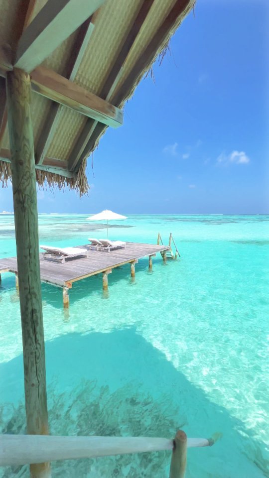 Who's down for sunbathing in a place like this? 🤩🏝️

📍 Como Cocoa Island, Maldives

-

Follow us ❤️ @toptravelplaces_ for more 👍
Follow us ❤️ @toptravelplaces_ for more 👍
Follow us ❤️ @toptravelplaces_ for more 👍

-

📸 Video taken by @toptravelplaces_

-

#maldives #maldivesresorts #maldivas #malediven #comococoaisland #maldivesislands #maldivesinsider #visitmaldives #bluelagoon #maldiveslovers #Мальдивы #путешествия #maldivesparadise #maldivesphotography #amazingdestinations #instatravel #paradise #beautifulmaldives #videooftheday #bali #borabora #viralvideos