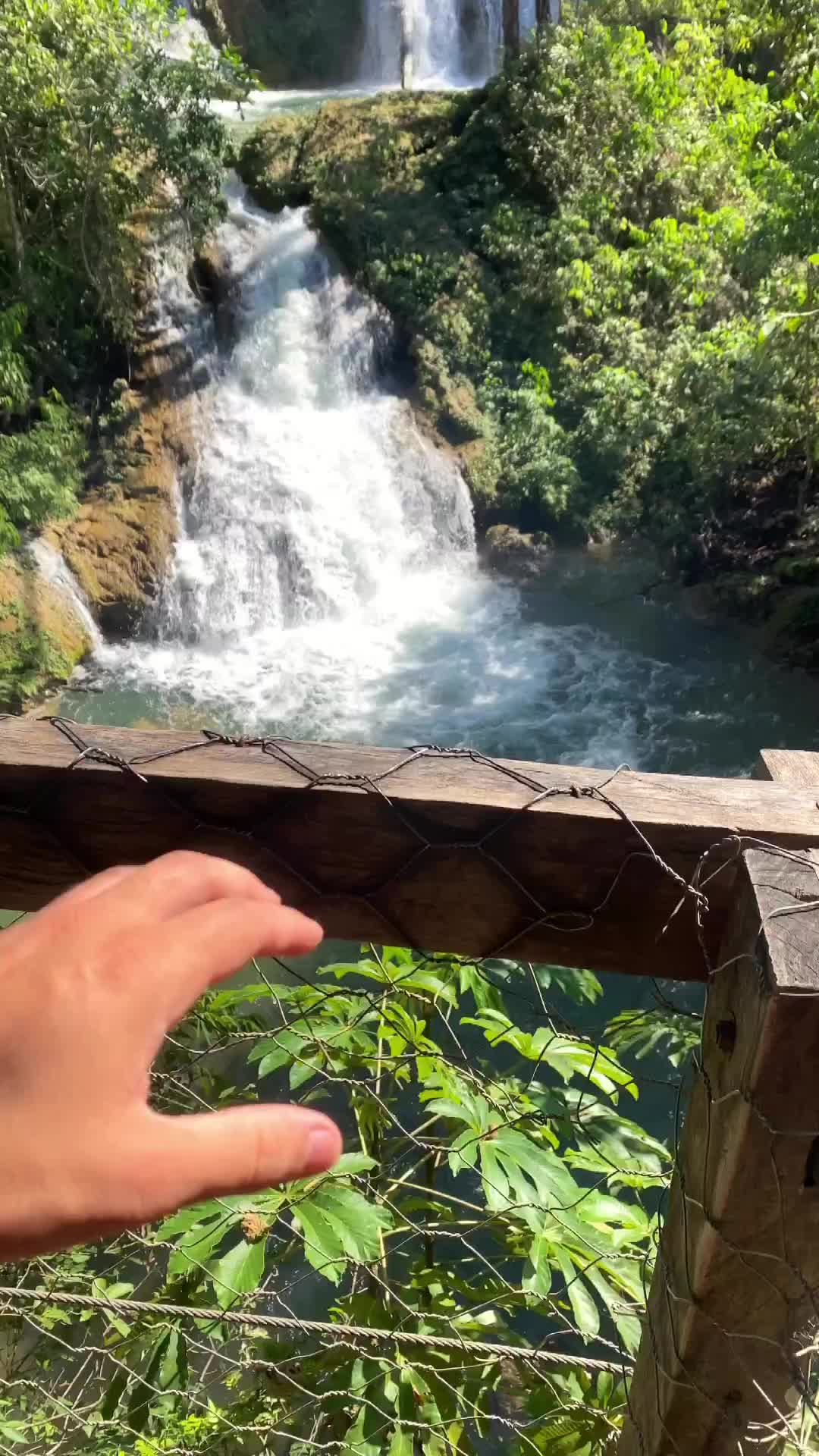 O lugar mais bonito do Brasil já tem nome 😍💚

A Pisa Verde esteve nesse feriado de Corpus Christi em Bonito-MS, foi uma experiência única na vida de todos nós, ainda esse ano já queremos voltar, você tá dentro? 🥾🌱

#pisaverdeecoturismo #ecoturismo #ecotour #ecotourism #nature #naturelover