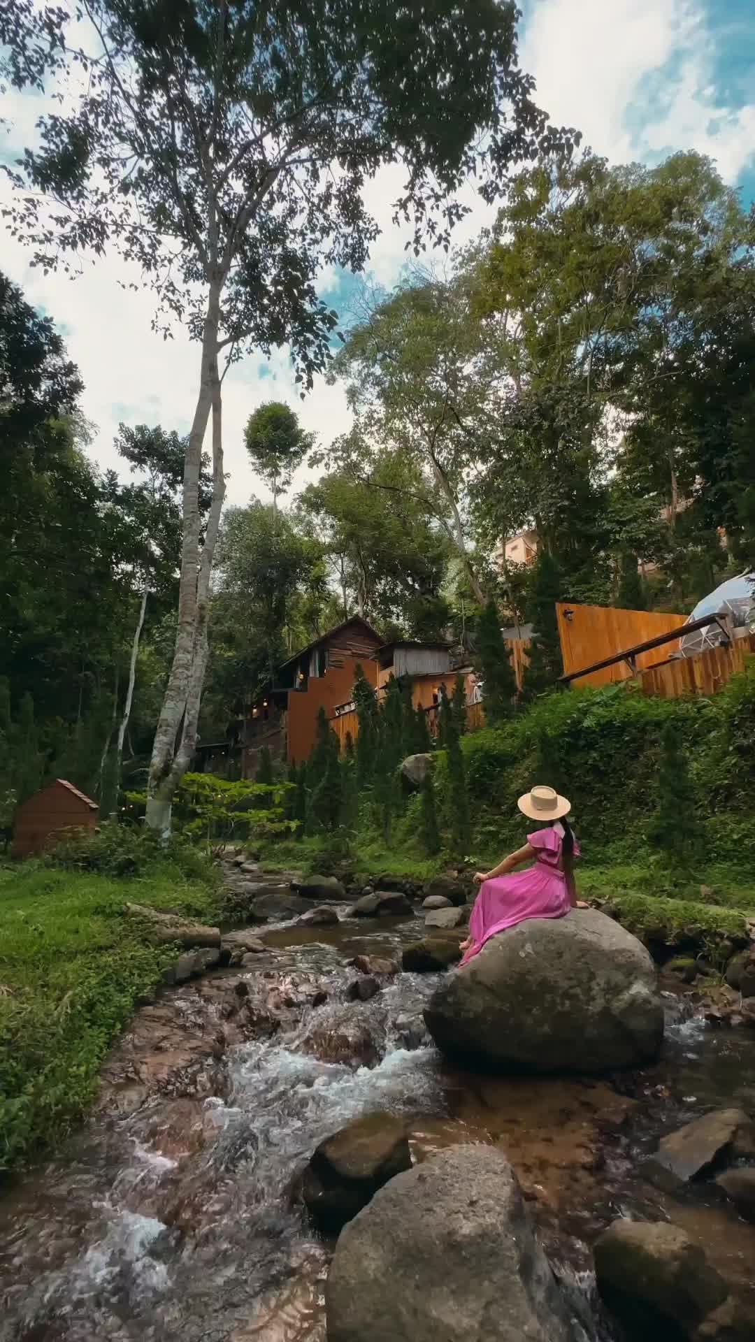 Forest Retreat in Chiang Mai: A Nature Lover’s Dream