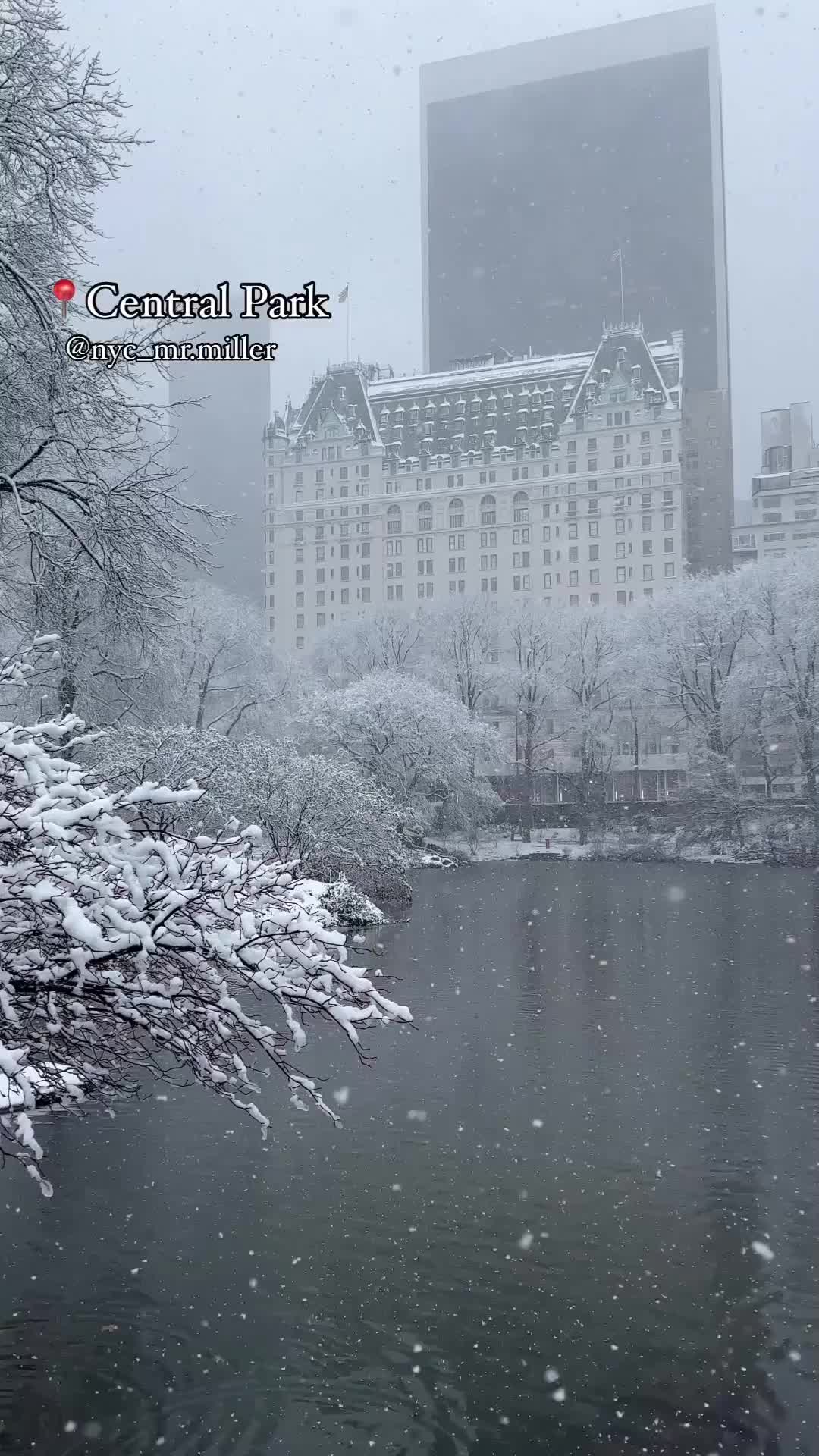 Central Park in Winter - Manhattan, New York