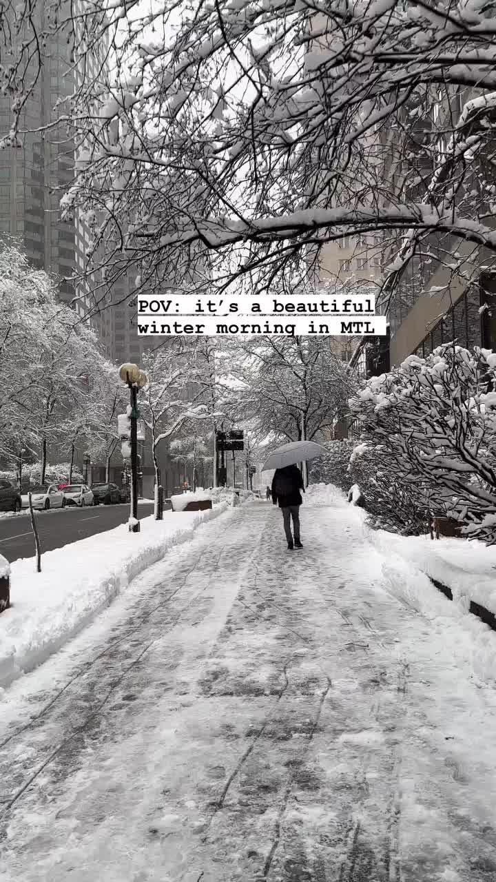 Snowy Saturday in Montreal - Discover Winter Magic