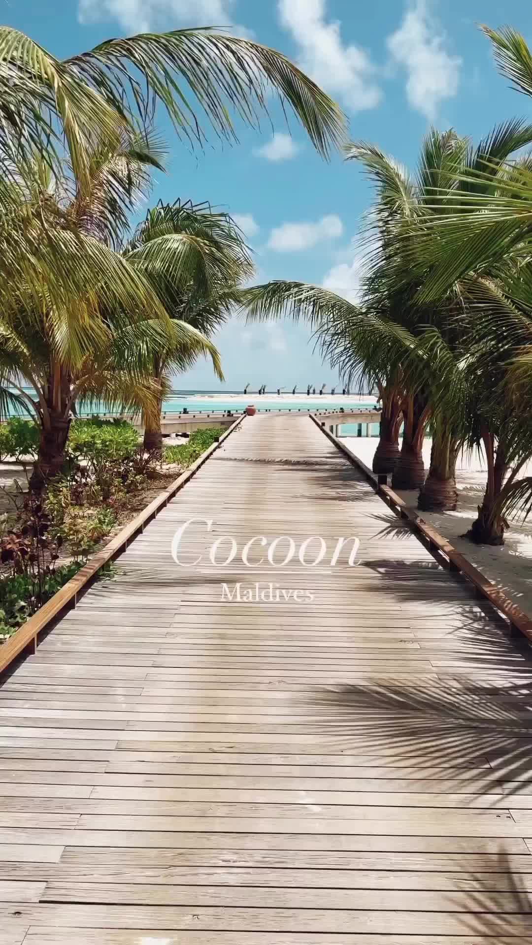 Luxurious Escape at Cocoon Maldives Paradise