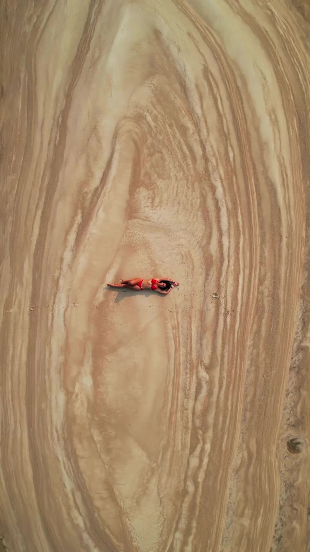 Explore Parque das Anavilhanas in Novo Airão, Brazil