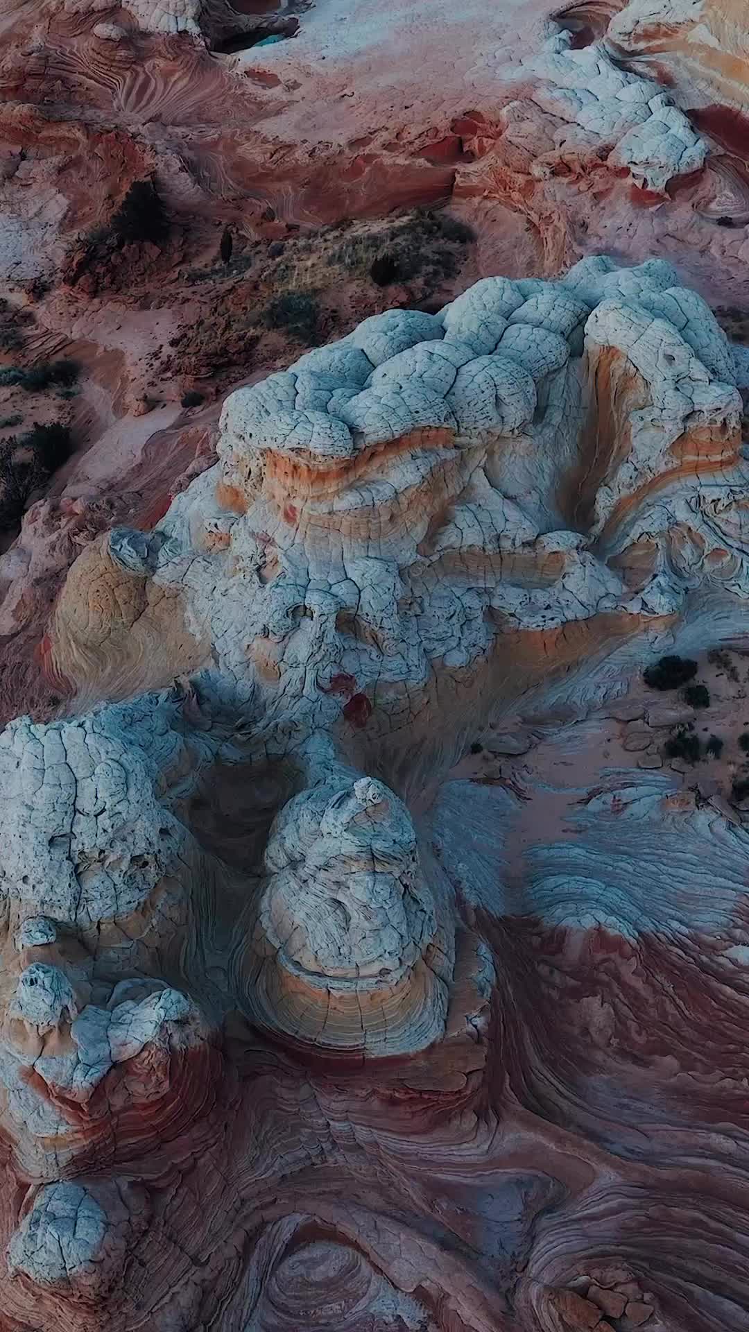 Exploring the Unbelievable White Pocket in Arizona