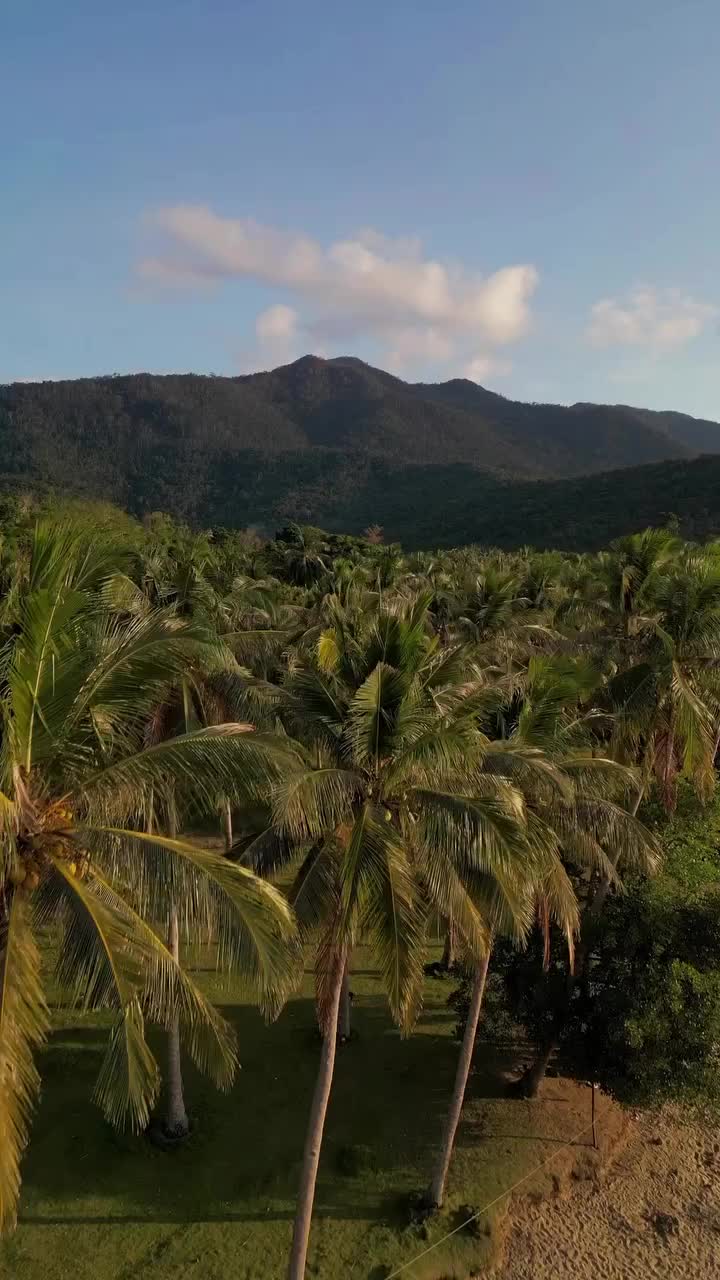 Discover Nagtabon Beach: A Hidden Paradise in the Philippines