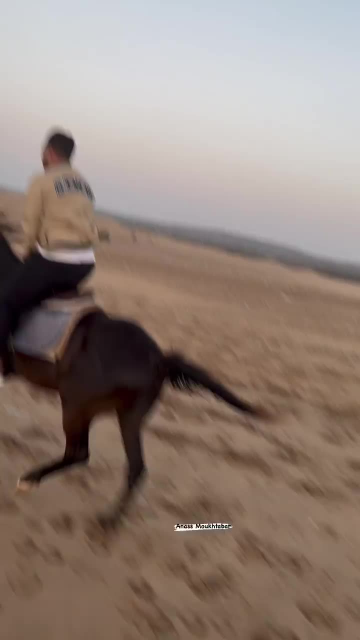 Horseback Riding in Scenic Mogadar, Essaouira