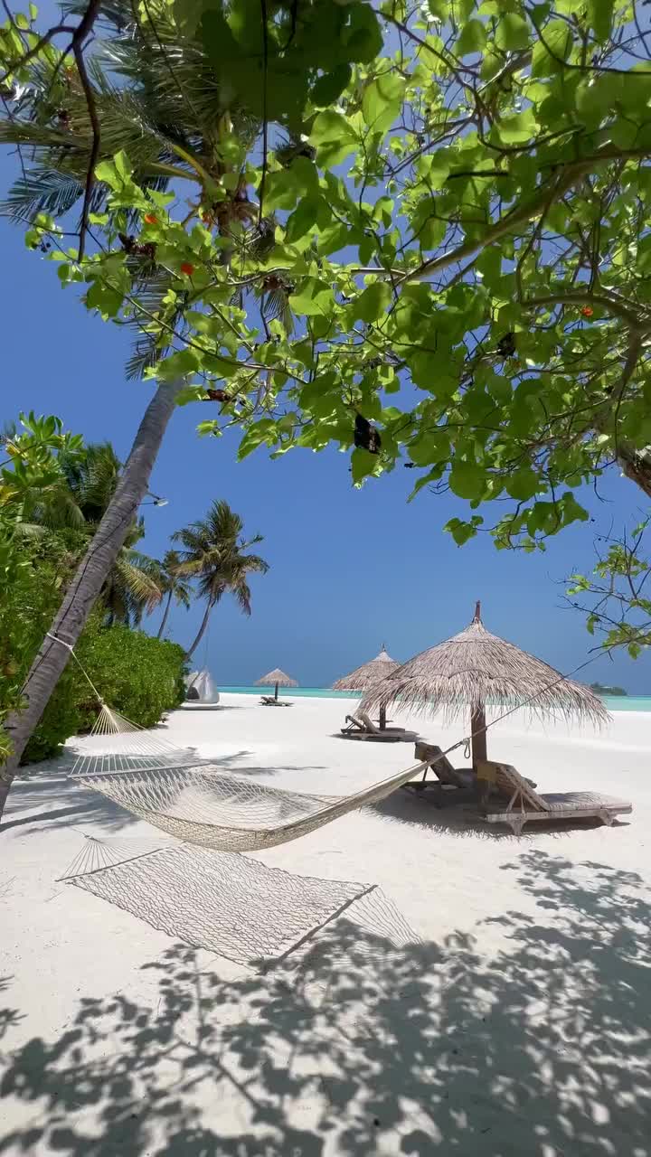 Stunning Maldives Beaches at Anantara Dhigu Resort