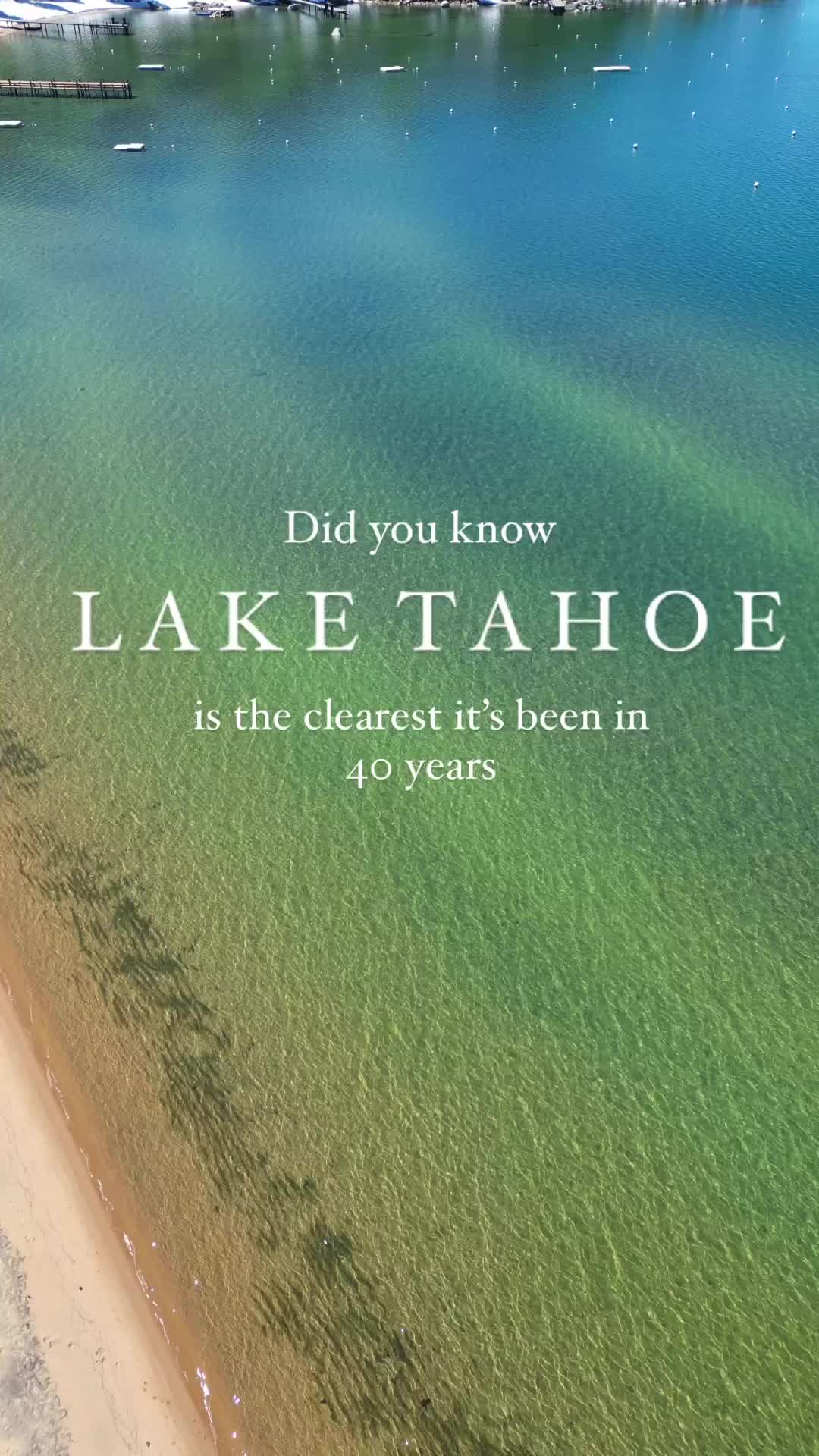 Discover Lake Tahoe's Clearest Waters in 40 Years!