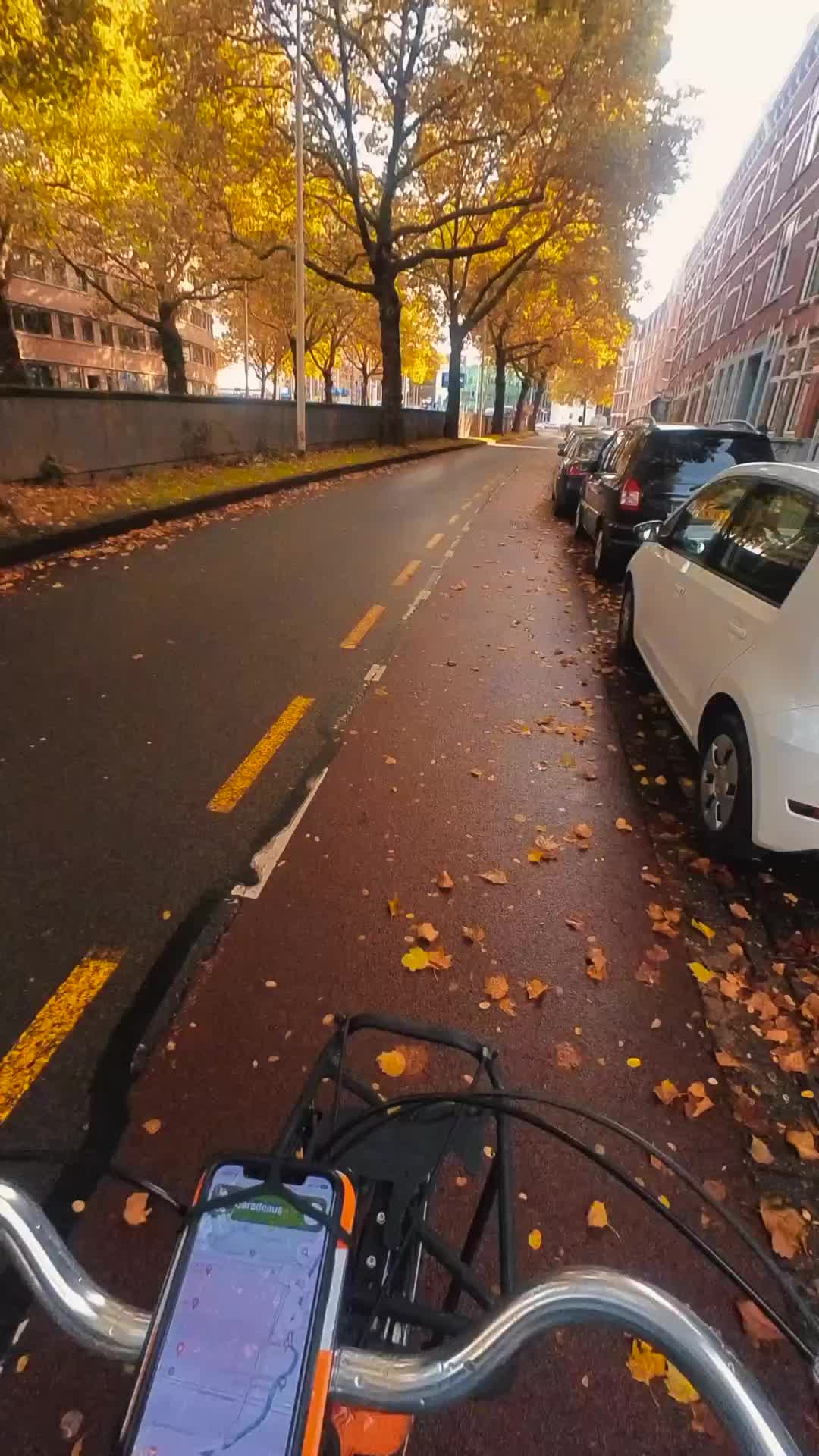 Cycling Through Rotterdam's Charming Corners 🚴🏼