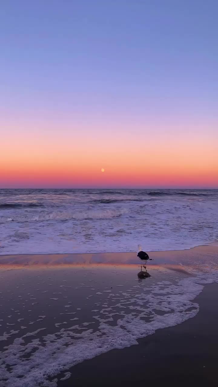 Stunning Sunset & Moon Over Bradley Beach 🌝