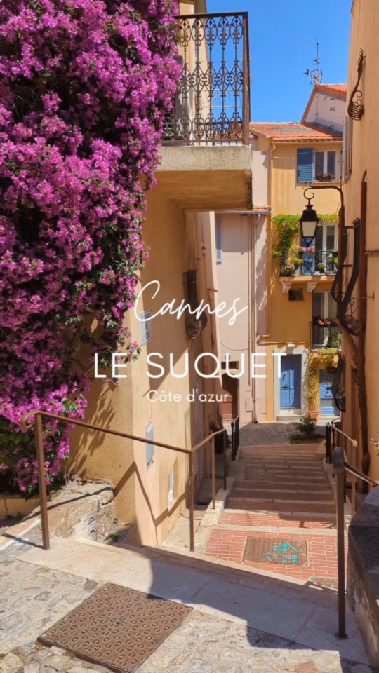 Art, Gastronomy, and Scenic Delights in Mougins