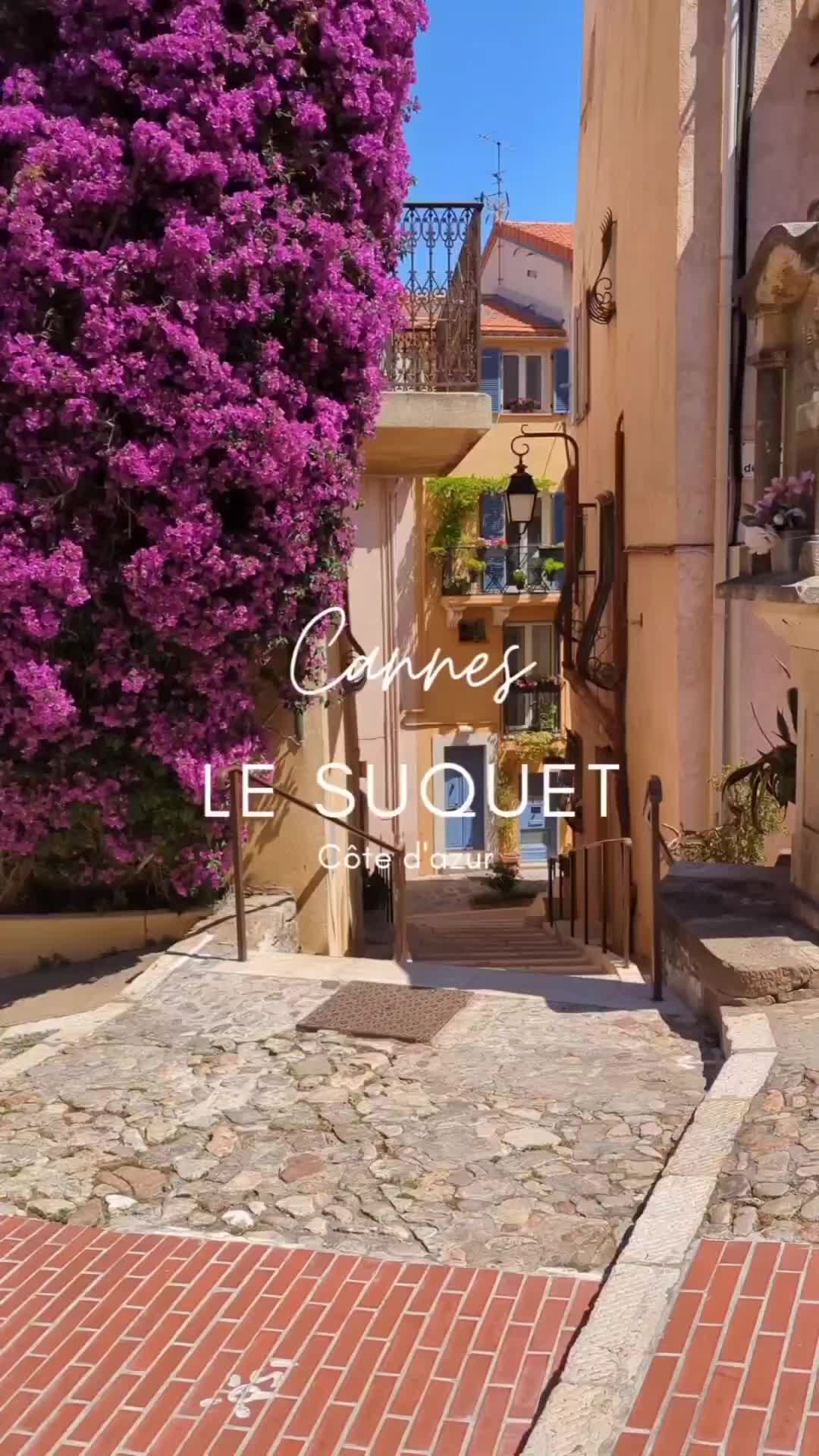 Discover the Hidden Gem of Le Suquet in Cannes