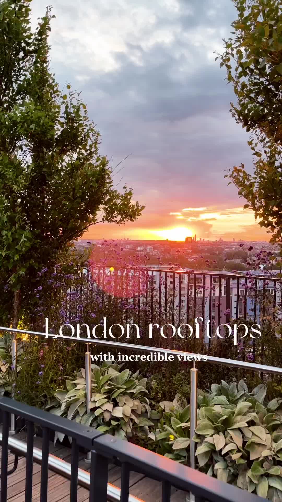 Best Rooftop Bar in London | Joia Battersea