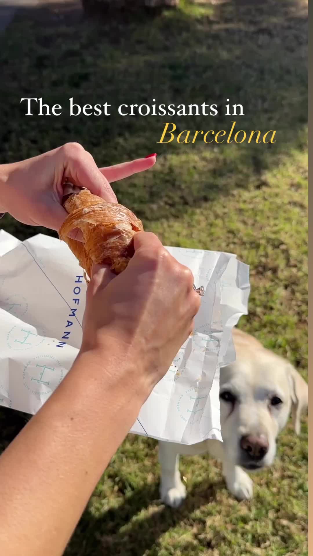 Discover Barcelona's Best Croissants at Pastelería Hofmann
