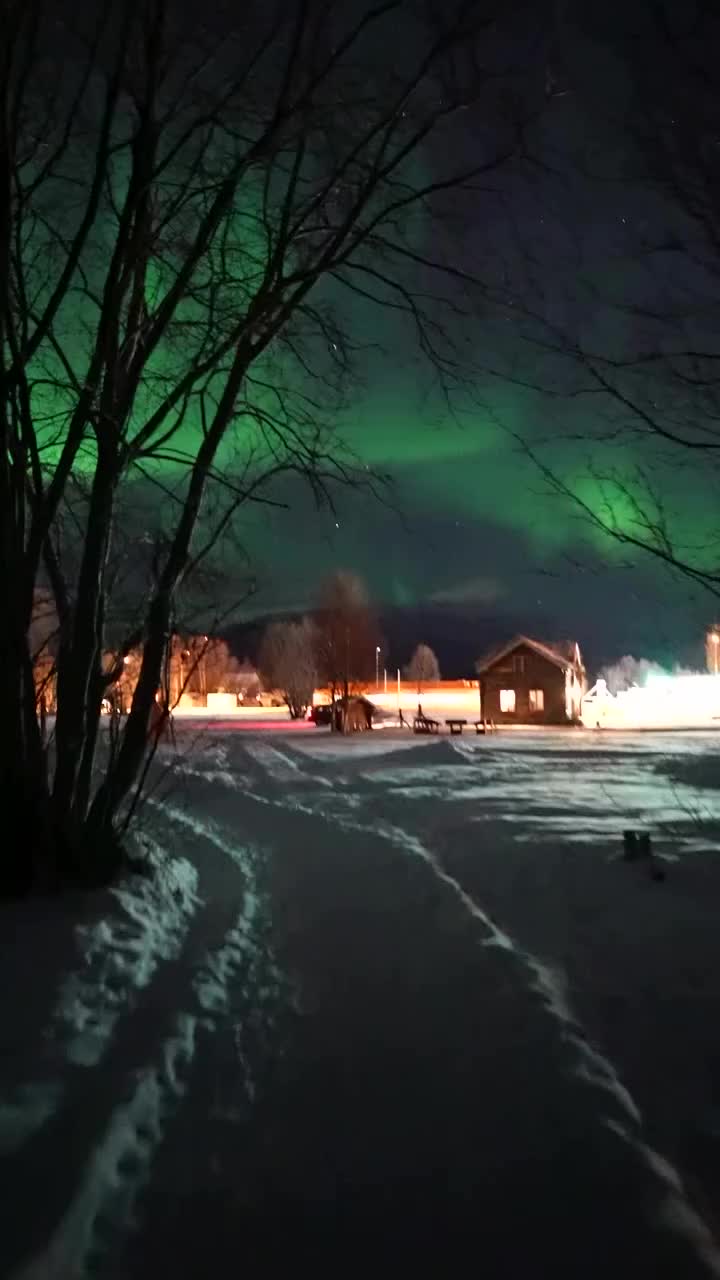 Magical Christmas Under the Northern Lights in Norway