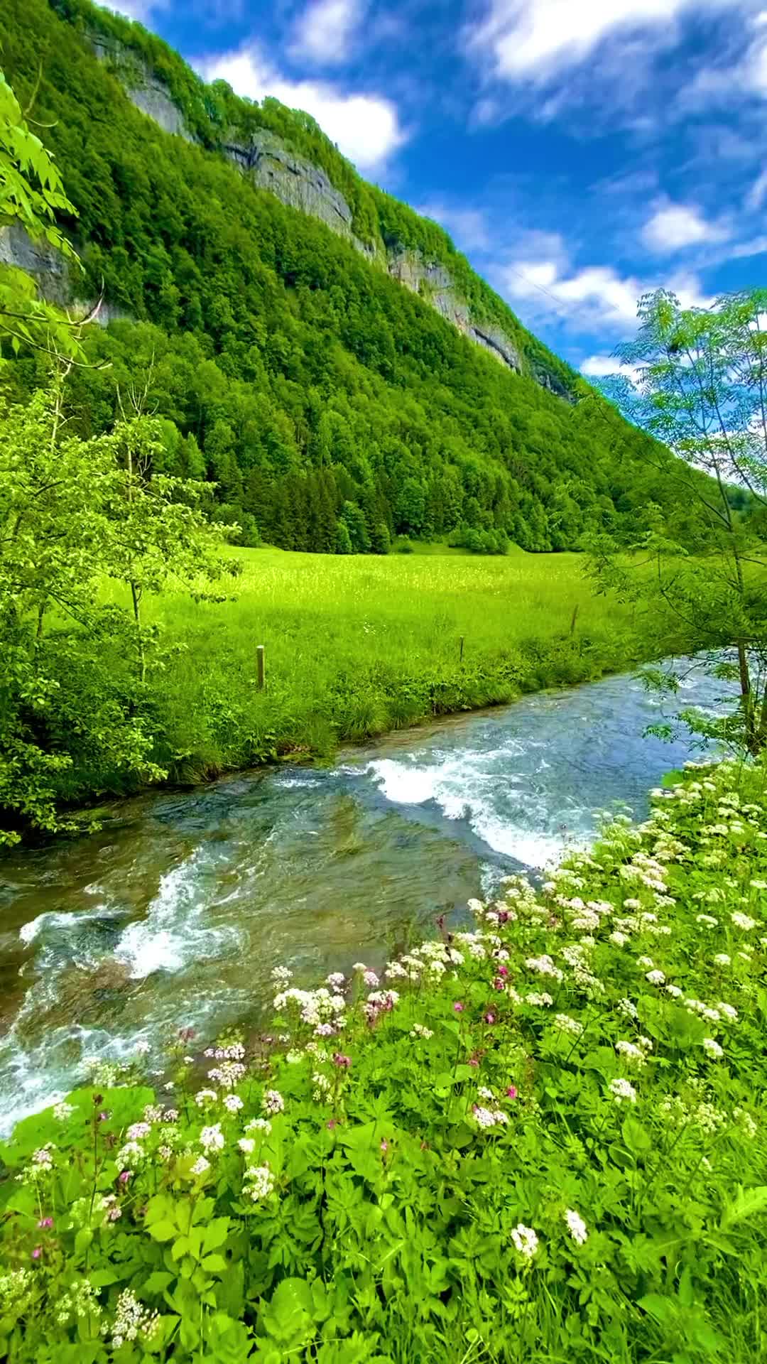 🇬🇧🇮🇩👇🇨🇭THE MOST BEAUTIFUL PLACE IN CANTON APPENZELL🇨🇭 EXACT LOCATION👇

🌸THIS PLACE IS EASY TO REACH, NO HIKE NEEDED 

🌸FEW STEPS FROM TRAIN STATION YOU WILL SEE THIS :

🌸SPECTACULAR MOUNTAINS, CRYSTAL CLEAR STREAM, GREEN HILLS & MEADOWS 

🌸THE REAL TYPICAL IDYLLIC REPRESENTATION OF SWITZERLAND 🇨🇭 

📍WASSERAUEN, CANTON APPENZELL🇨🇭

💜FOLLOW @syifa_in_switzerland TO MAXIMIZE YOUR TRIP IN SWITZERLAND🇨🇭

💜SAVE & SHARE this reel for YOUR NEXT SWISS TRIP🇨🇭✈️

💜WATCH MY IG STORY NOW FOR ITINERARY & TRAVEL TIPS IN SWITZERLAND 

#swiss #syifainswitzerland #schweizeralpen #suíça #suisse #suiza #svizzera #switzerlandtourism #swissblogger #swissinfluencer #switzerland #ineedswitzerland #inlovewithswitzerland #switzerlandguide #bestofswitzerland #appenzell #wasserauen #schweizeralpen #myswitzerland #countryside #cottagecore #beautifuldestinations #İsviçre  #switzerlandtour  #swissguide  #visitswitzerland  #szwajcarski  #suisse