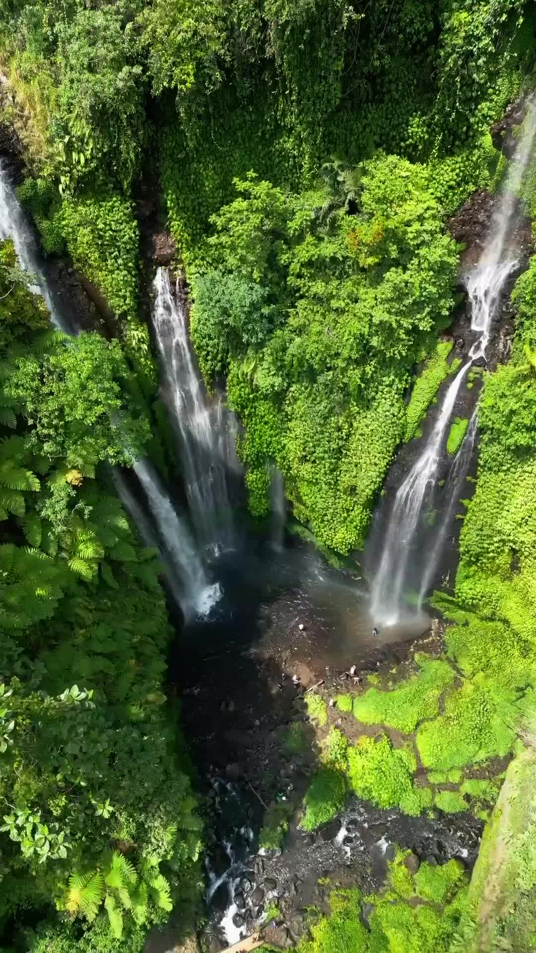 Discover the Stunning Fiji Waterfalls in Bali 🌊🌴