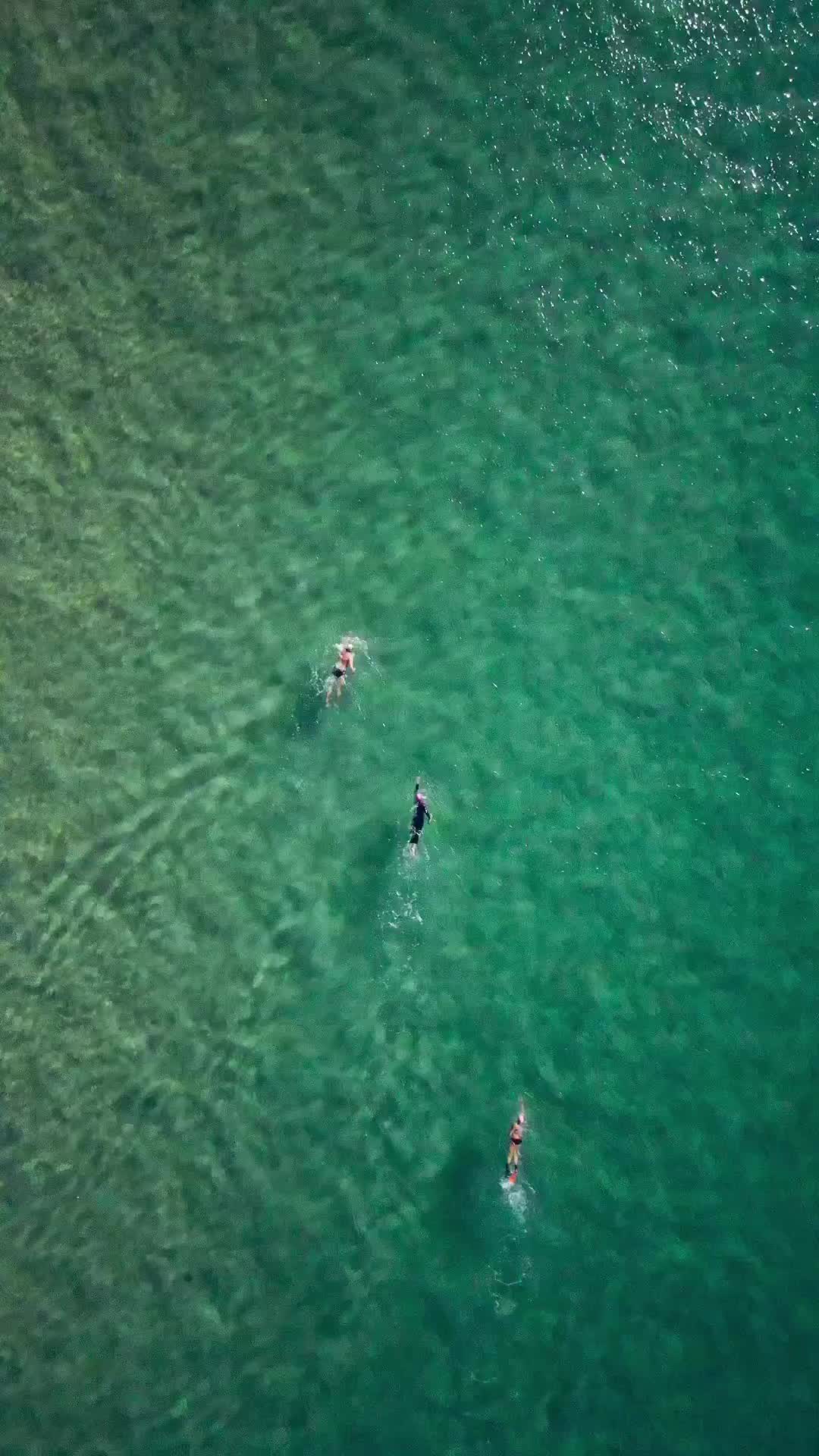 Perfect Morning Swim at Maroubra Beach, Sydney