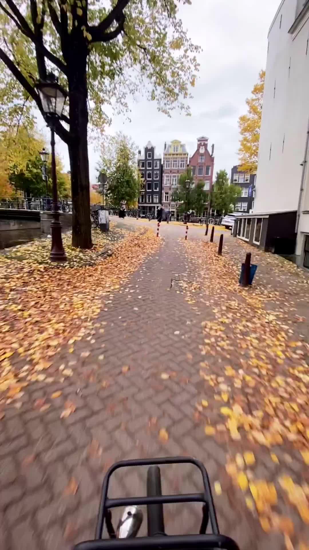 Autumn in Amsterdam: Discover the Magic of Fall