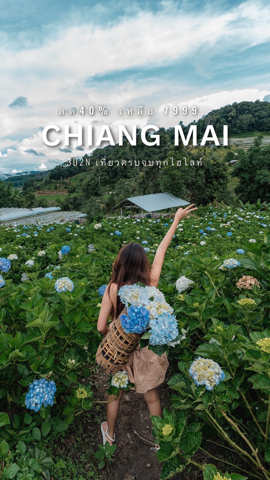 4-Day Adventure in Chiang Mai: Waterfalls, Elephants, and Ethical Tours