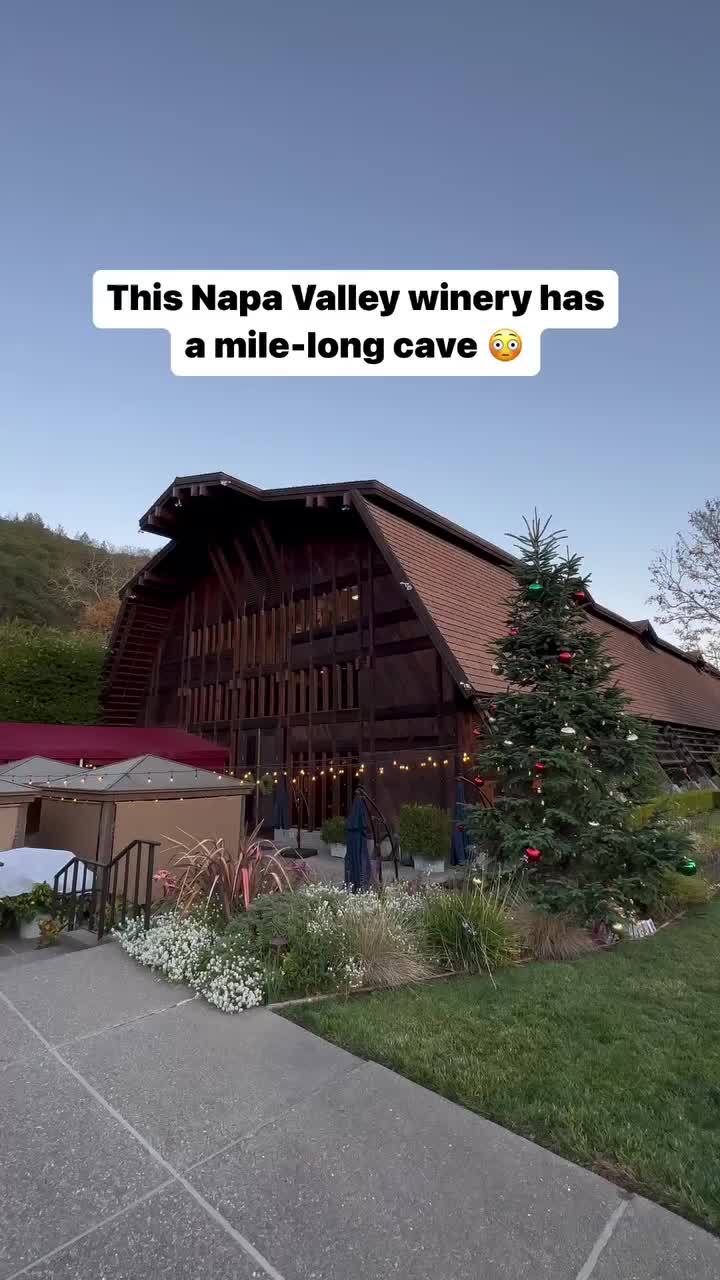 Mind-Blowing Napa Valley Winery Adventure 🤯