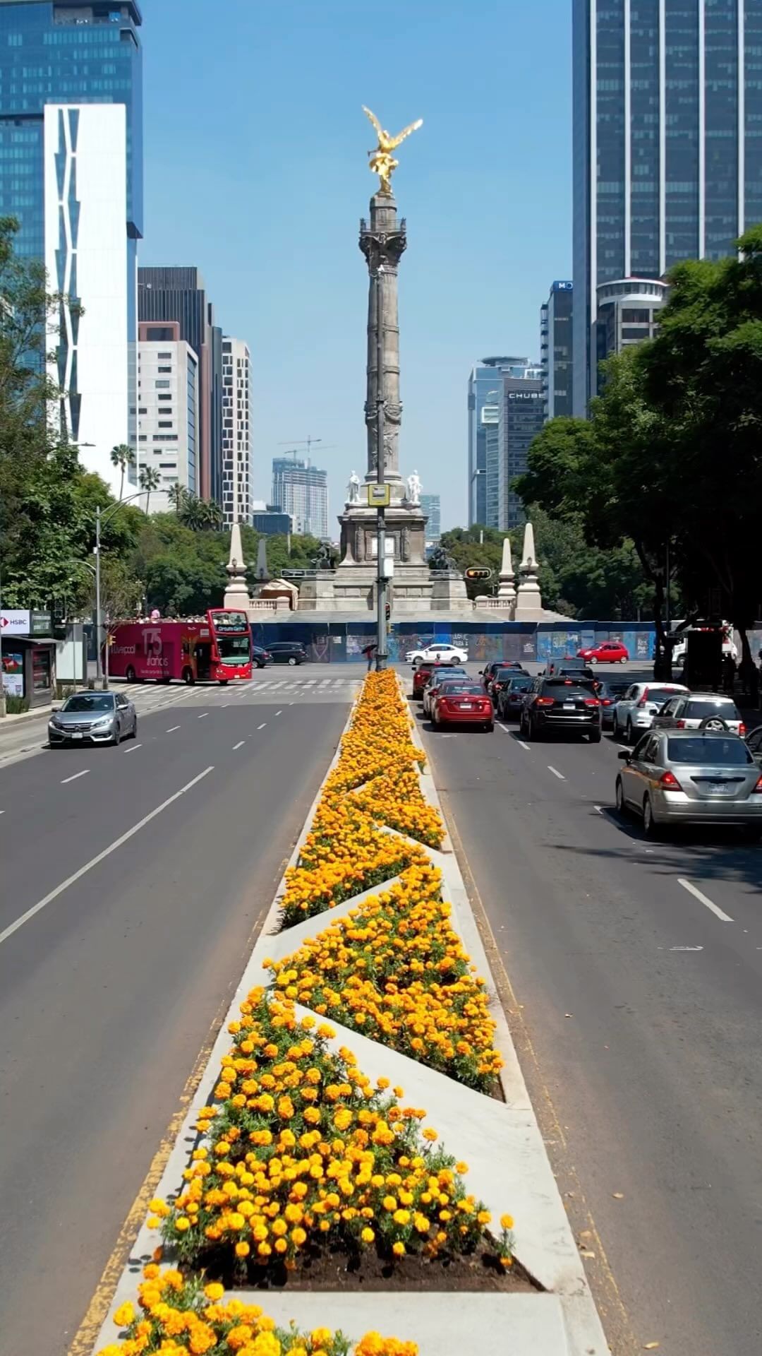Cultural Wonders and Culinary Delights in Mexico City