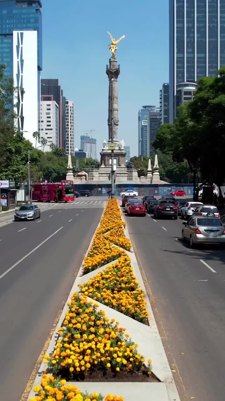 Cempasúchil Blooms on Reforma, Mexico City 🌼