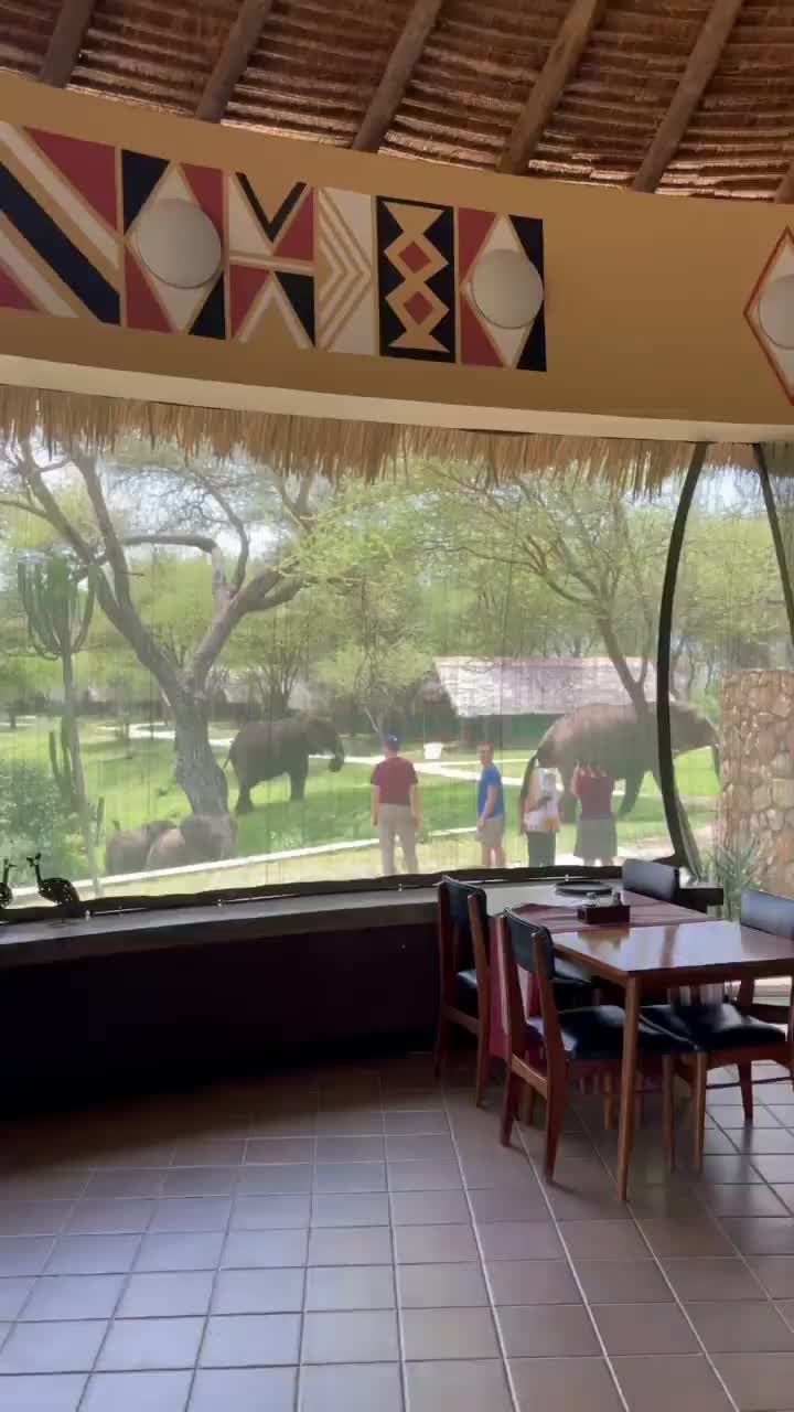 Lunch with Elephants at Tarangire Safari Lodge