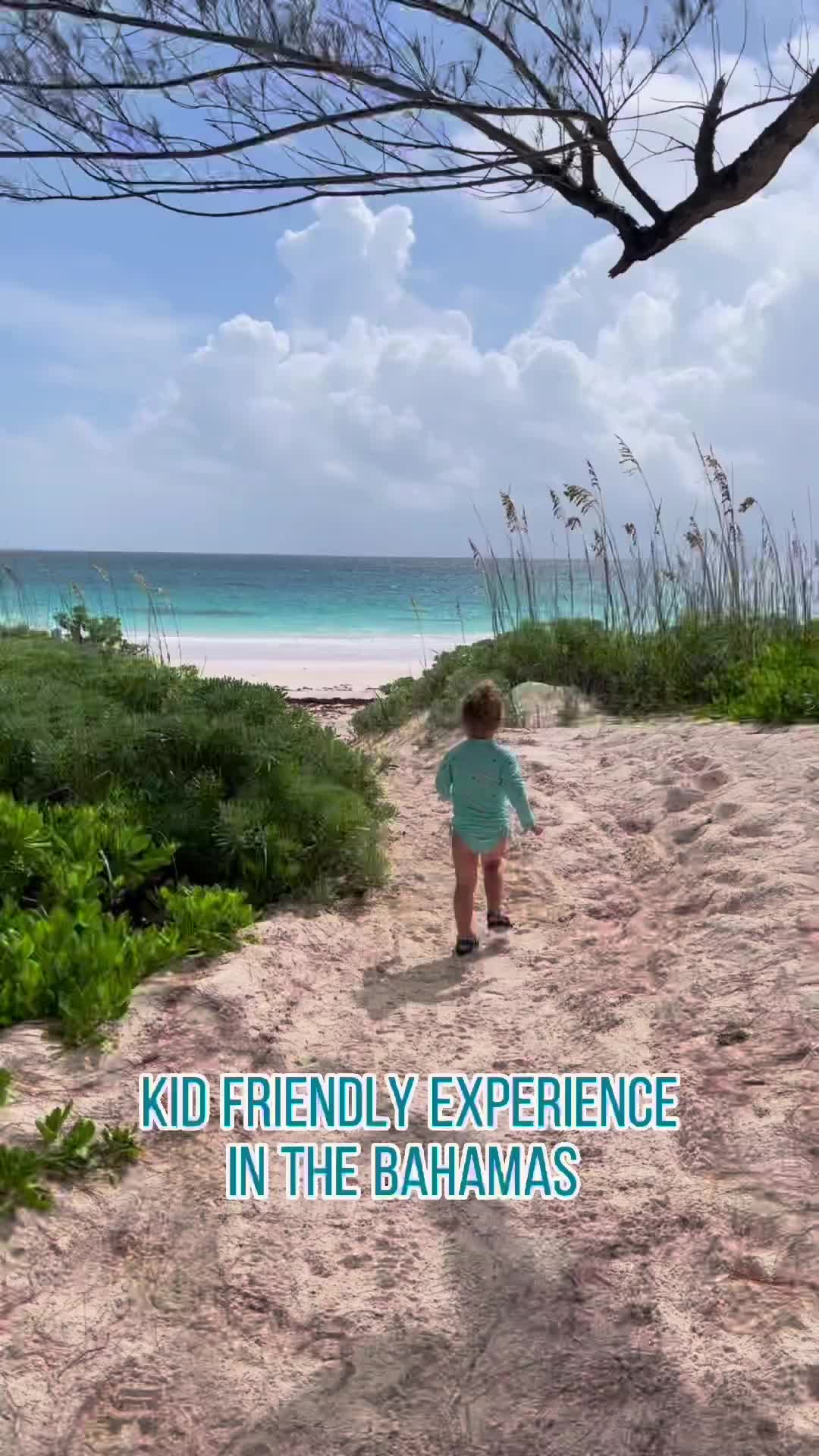 Kid-Friendly Fun: Feed Sea Turtles in the Bahamas