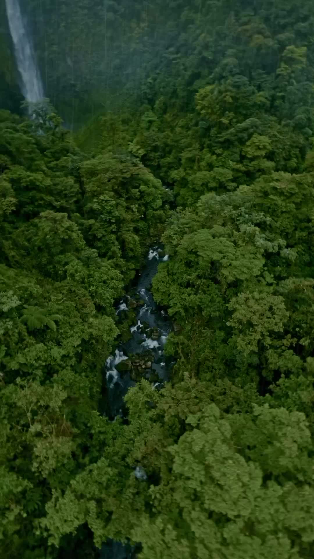 Flying Nazgul Evoque at Río Blanco Waterfall in Costa Rica