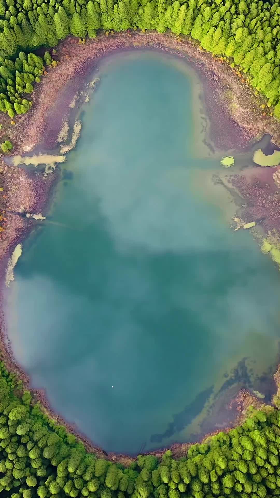 Lagoa do Canário: Aerial View of Nature's Beauty