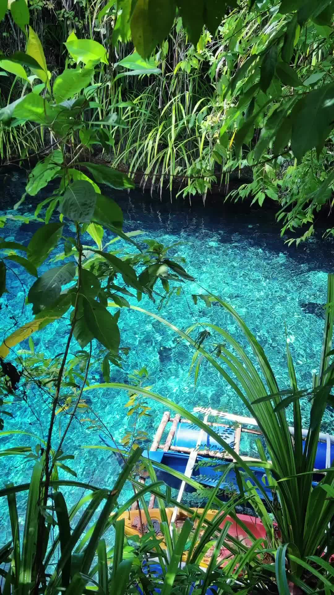 Discover the Enchanted River in Hinatuan, Philippines