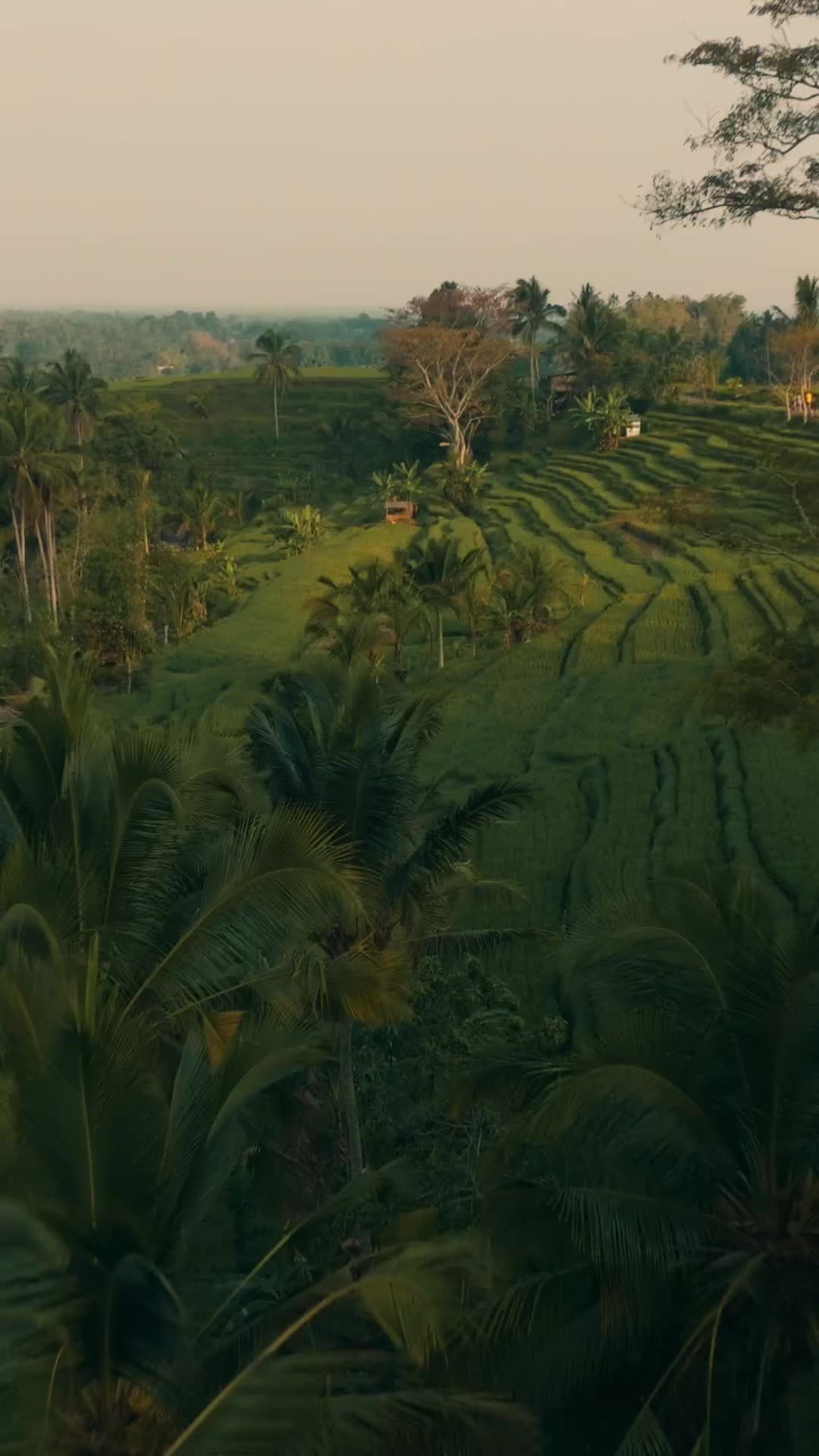 Stunning Drone Shots from Bali Getaway