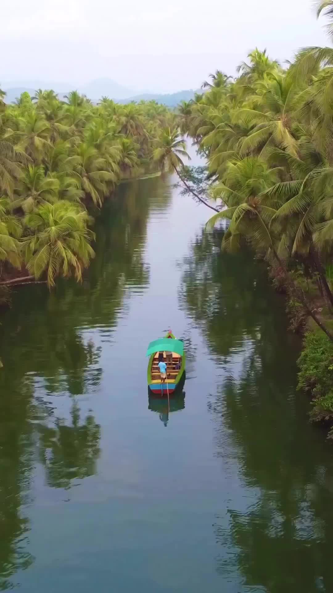 Discover Karnataka's Stunning Backwaters