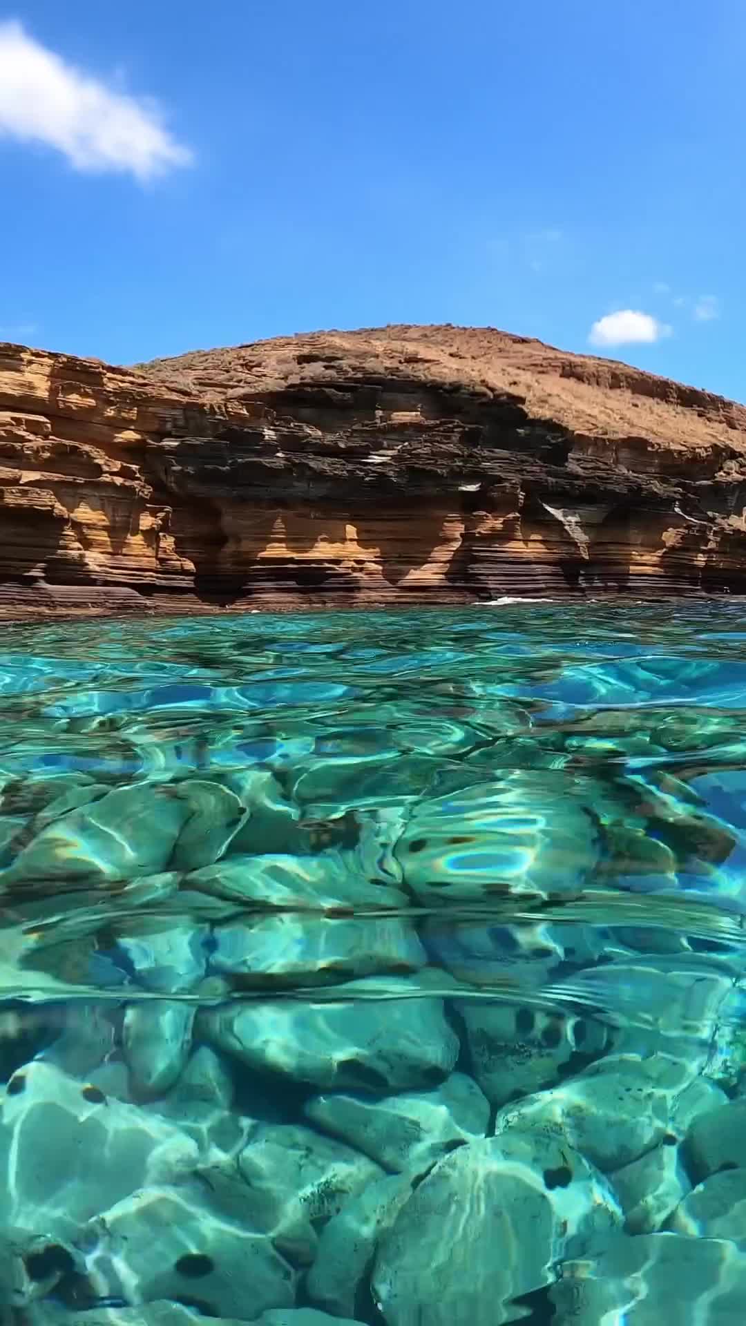 Hands down one of the most incredible locations on the island, the natural monument of Montaña Amarilla in Costa del Silencio, with its impressive colors and crystal clear waters. A stunning place to enjoy, that should also be cherished and most of all, protected 🤍

🇮🇨 Sin embargo uno de los lugares más increíbles de la isla: el ‘monumento natural’ de Montaña Amarilla, con sus sorprendientes colores y sus aguas cristalinas. Un entorno precioso para disfrutar y sobre todo cuidar y proteger 🤍

Have a great start into the weekend ✨

#montañaamarilla #tenerifesur #costadelsilencio #canaryislands #paisajeshermosos #tenerifelife