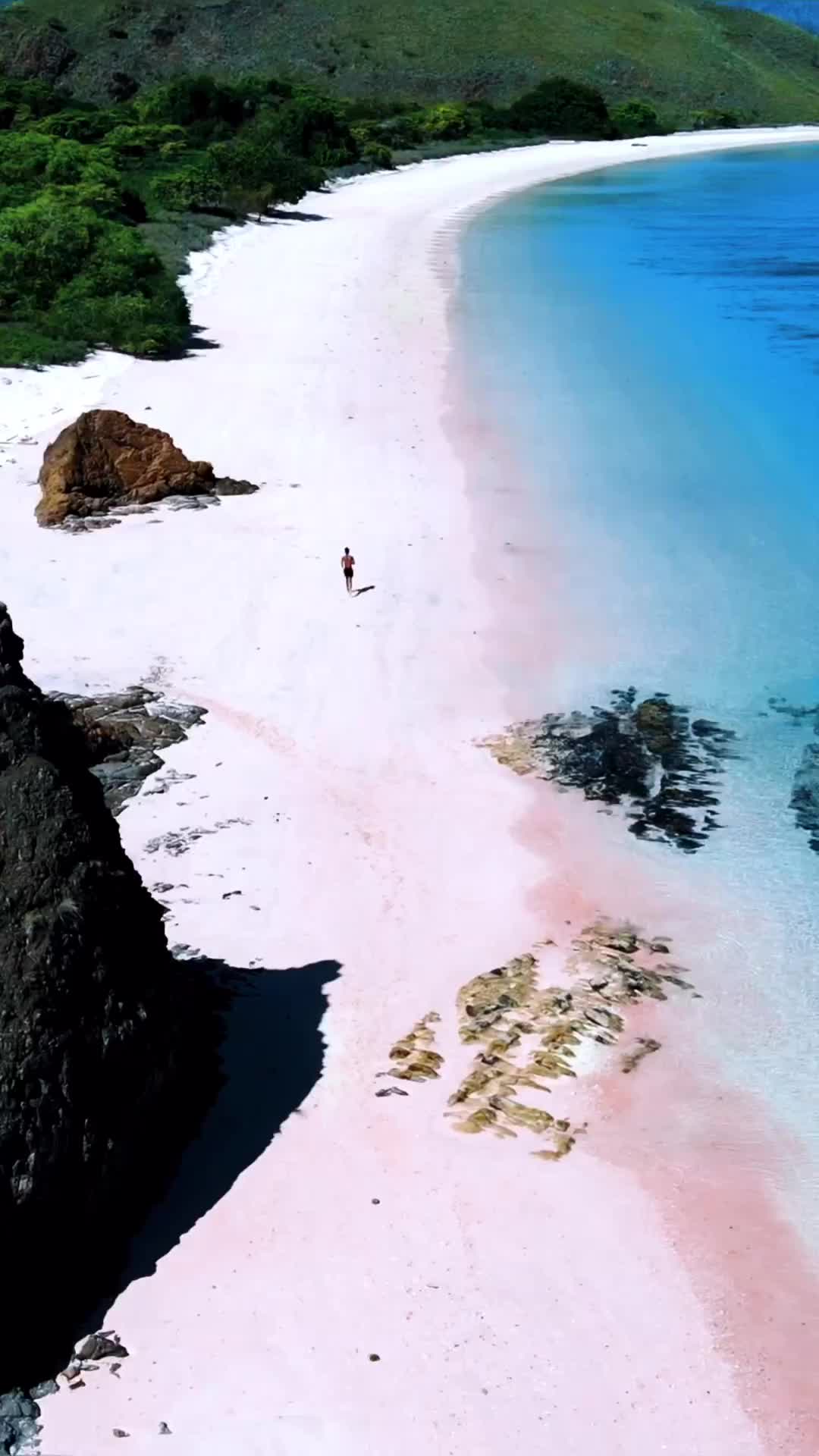 Dream of Paradise at Pink Beach, Komodo Island