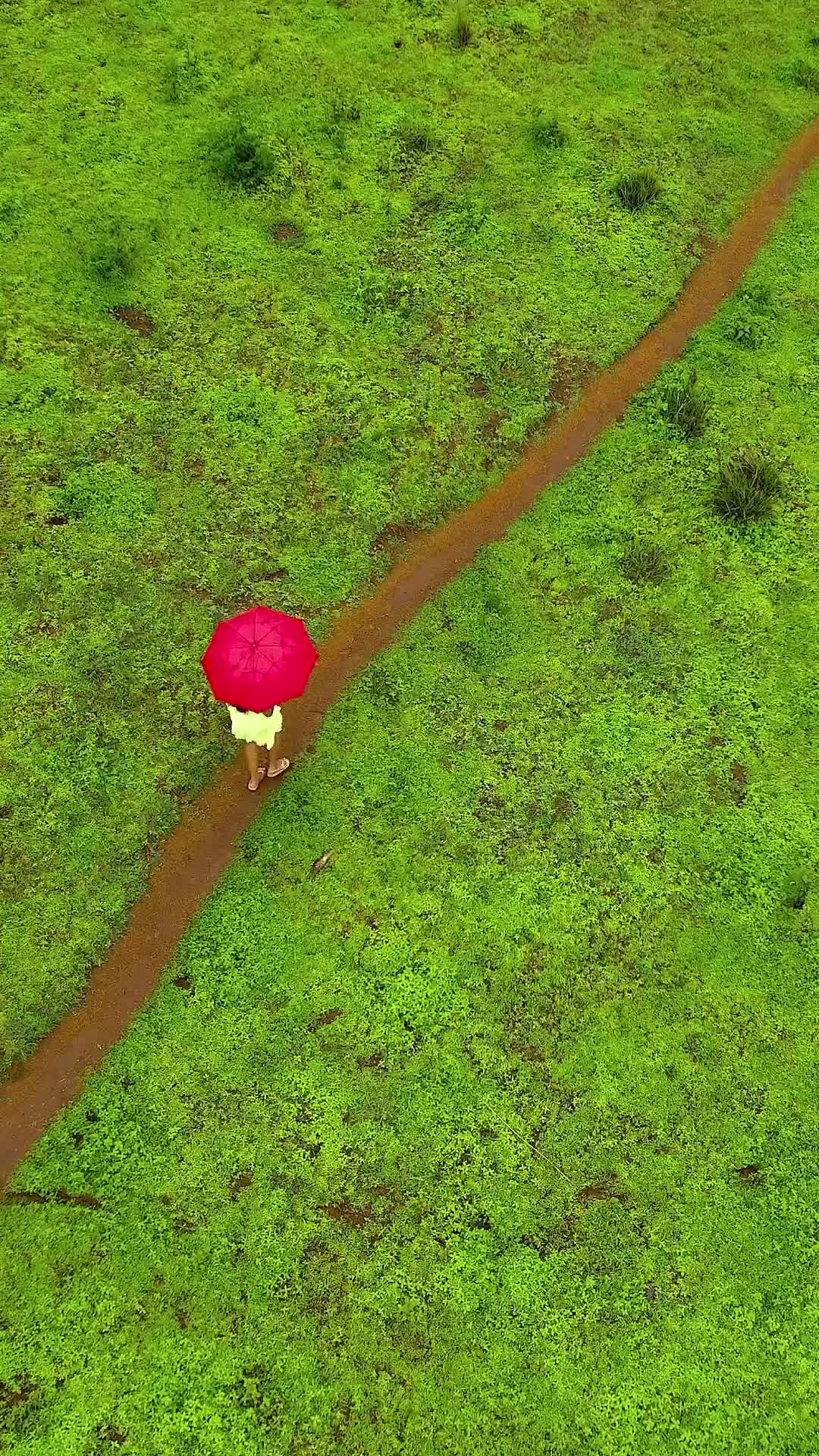 The Girl with Red Umbrella in Kerala's Lush Nature