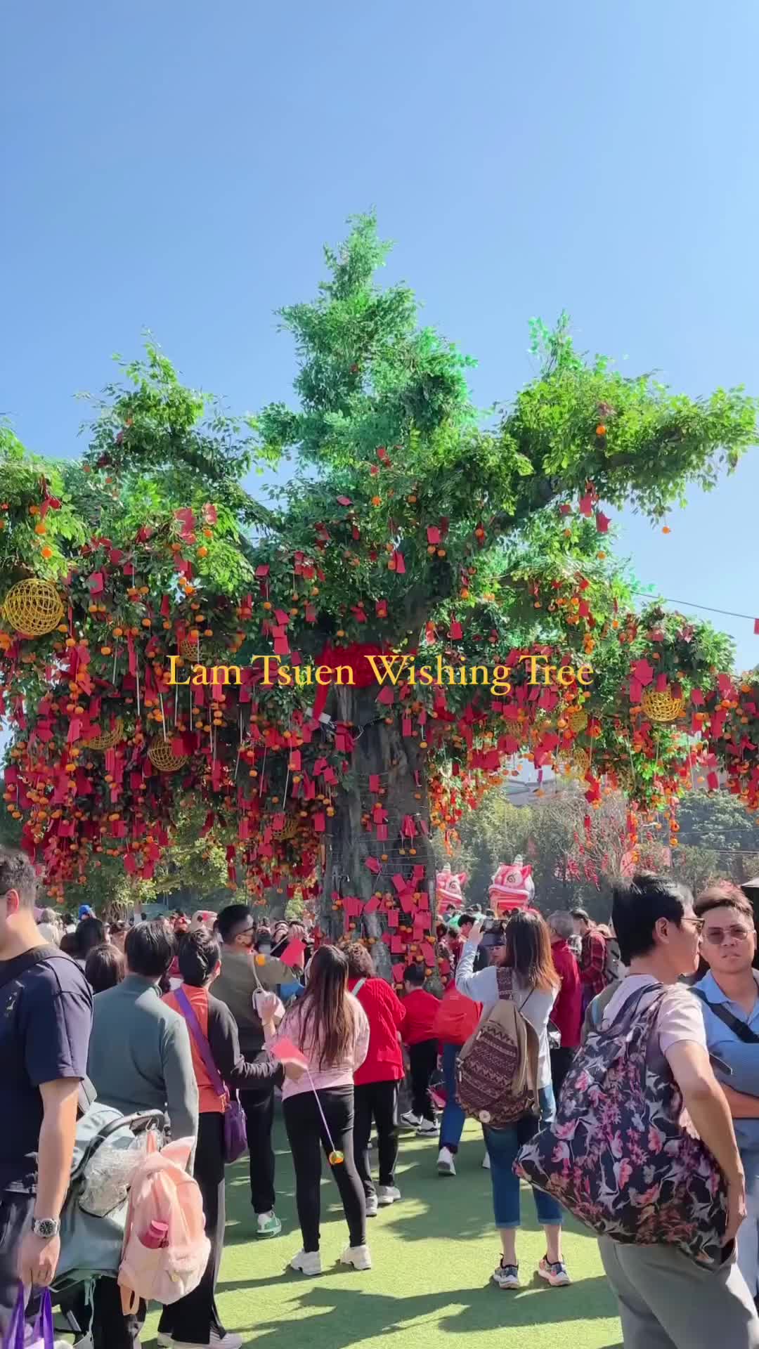 Lam Tsuen Wishing Tree: New Year Traditions in Hong Kong