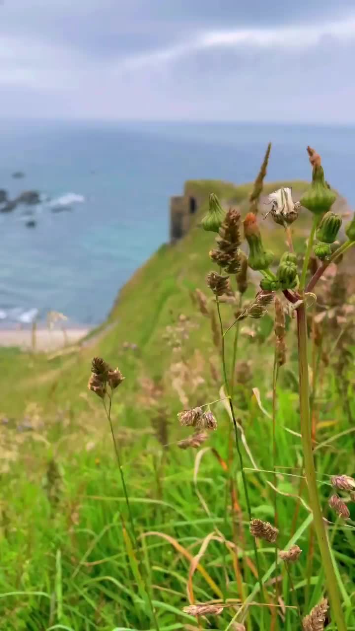 Discover Findlater Castle: Scotland's Hidden Gem