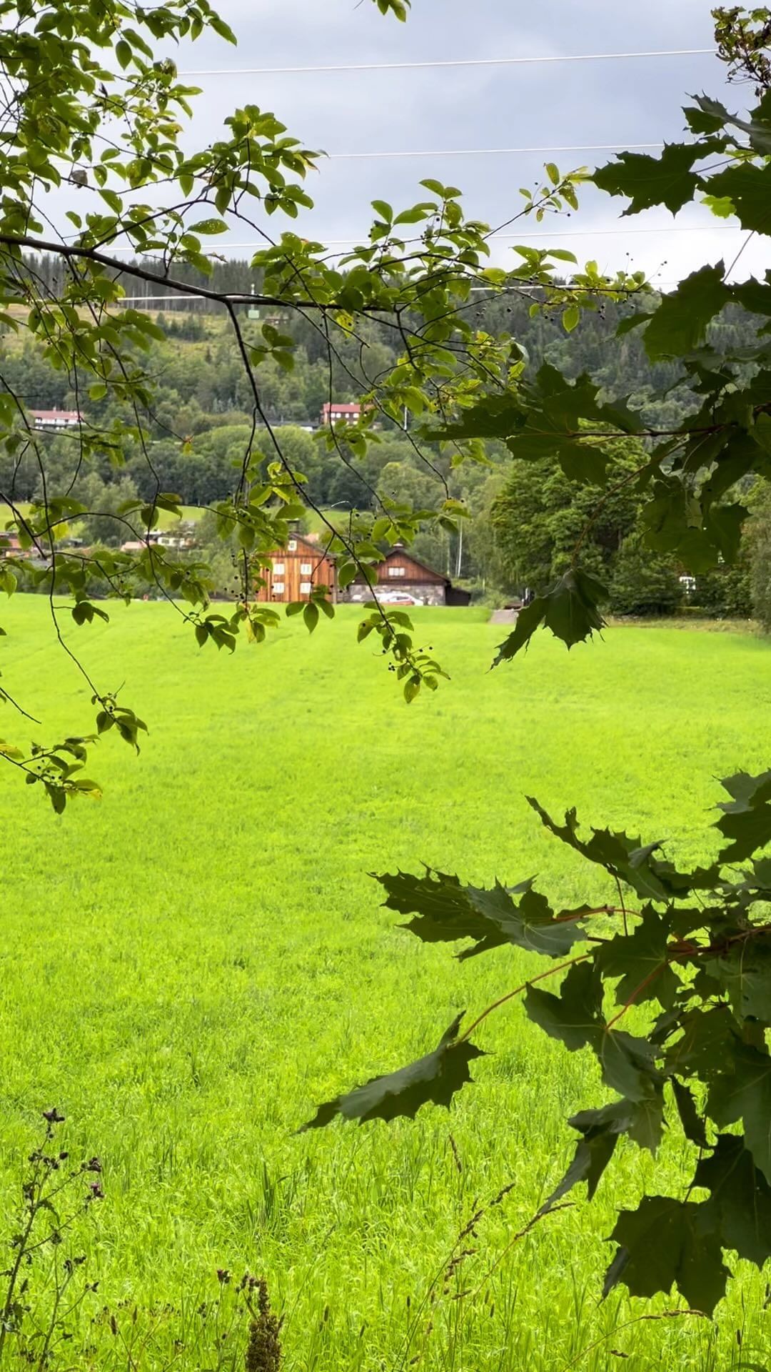 Immersive Cultural Experience in Lillehammer