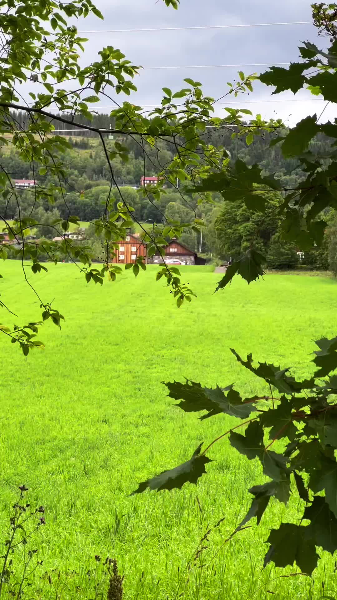 Discover the Beauty of Lillehammer's Nature Walks