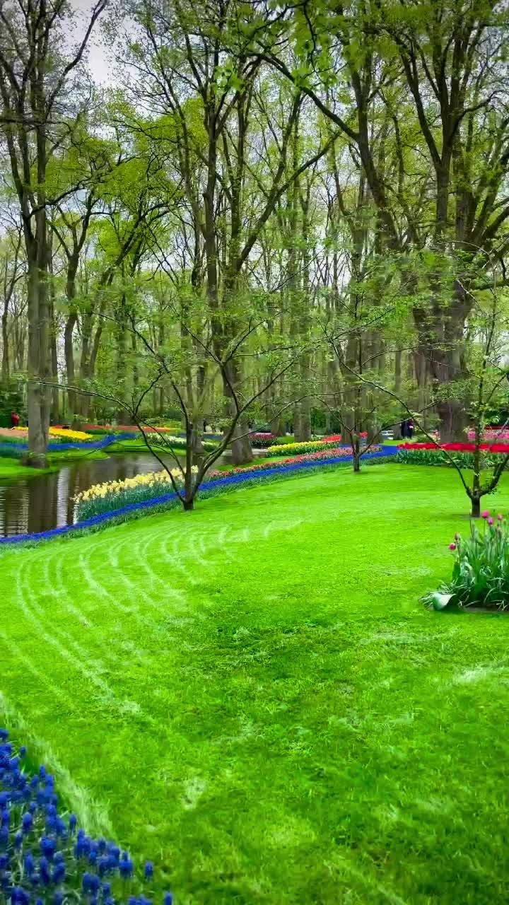 Explore the Stunning Keukenhof Gardens in Spring