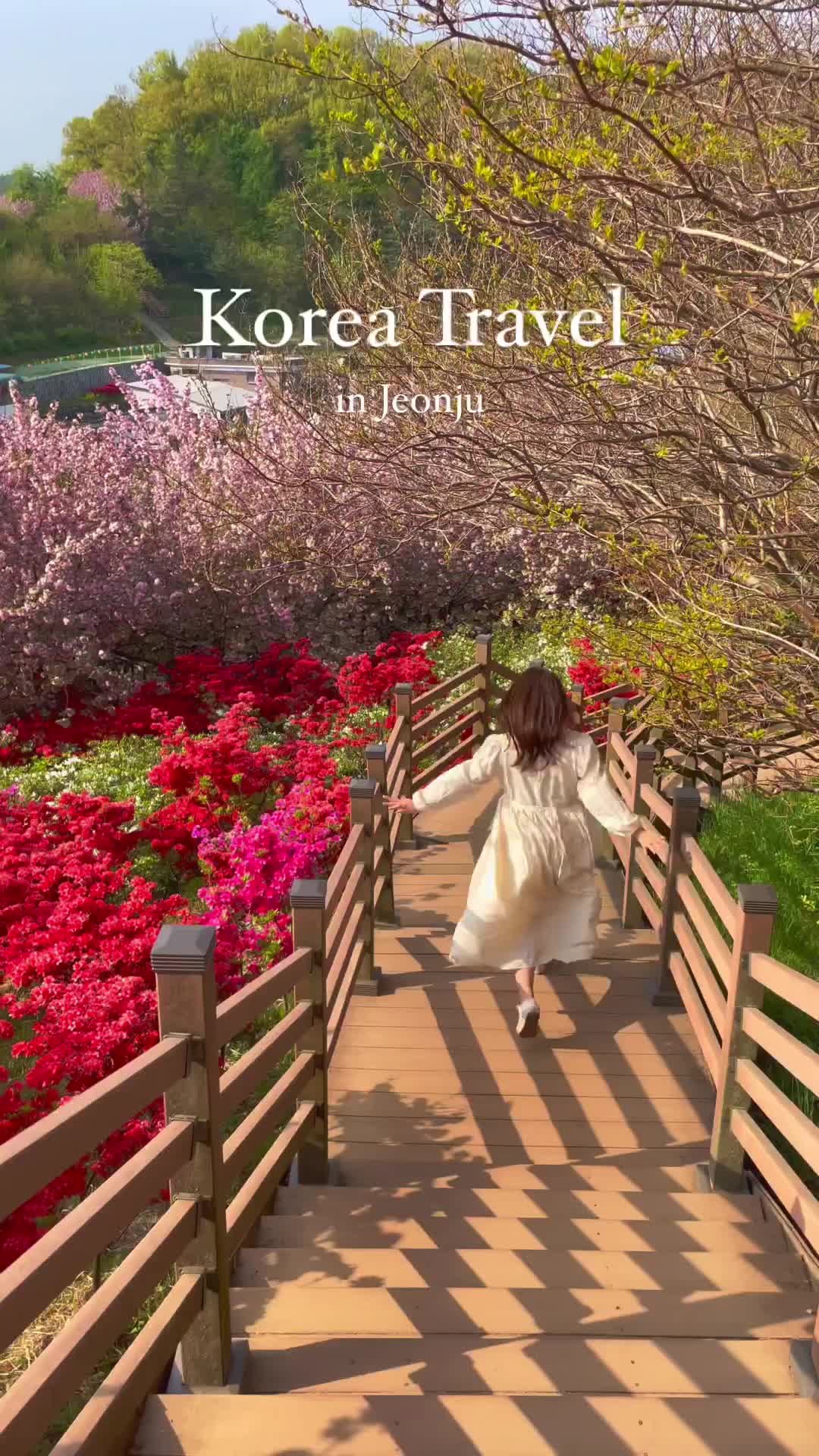 전주 완산공원 꽃동산: 겹벚꽃과 철쭉의 향연🌸