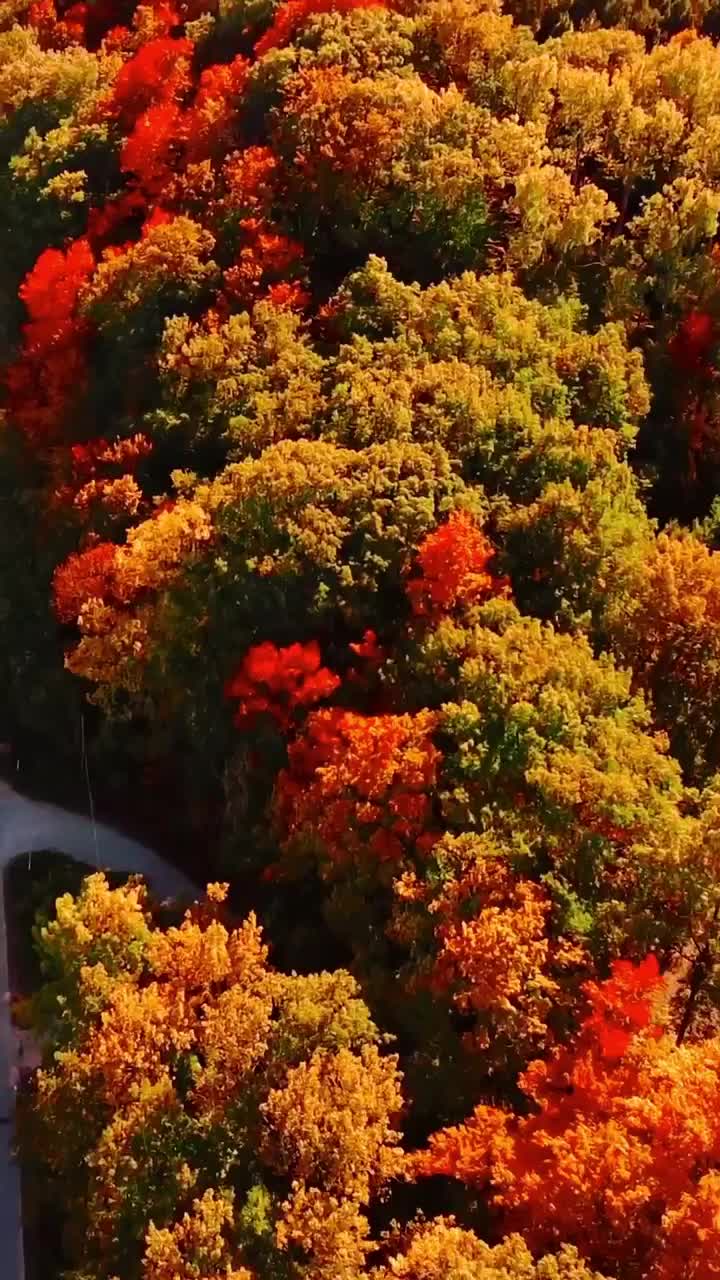 Stunning Fall Colors in Traverse City, Michigan